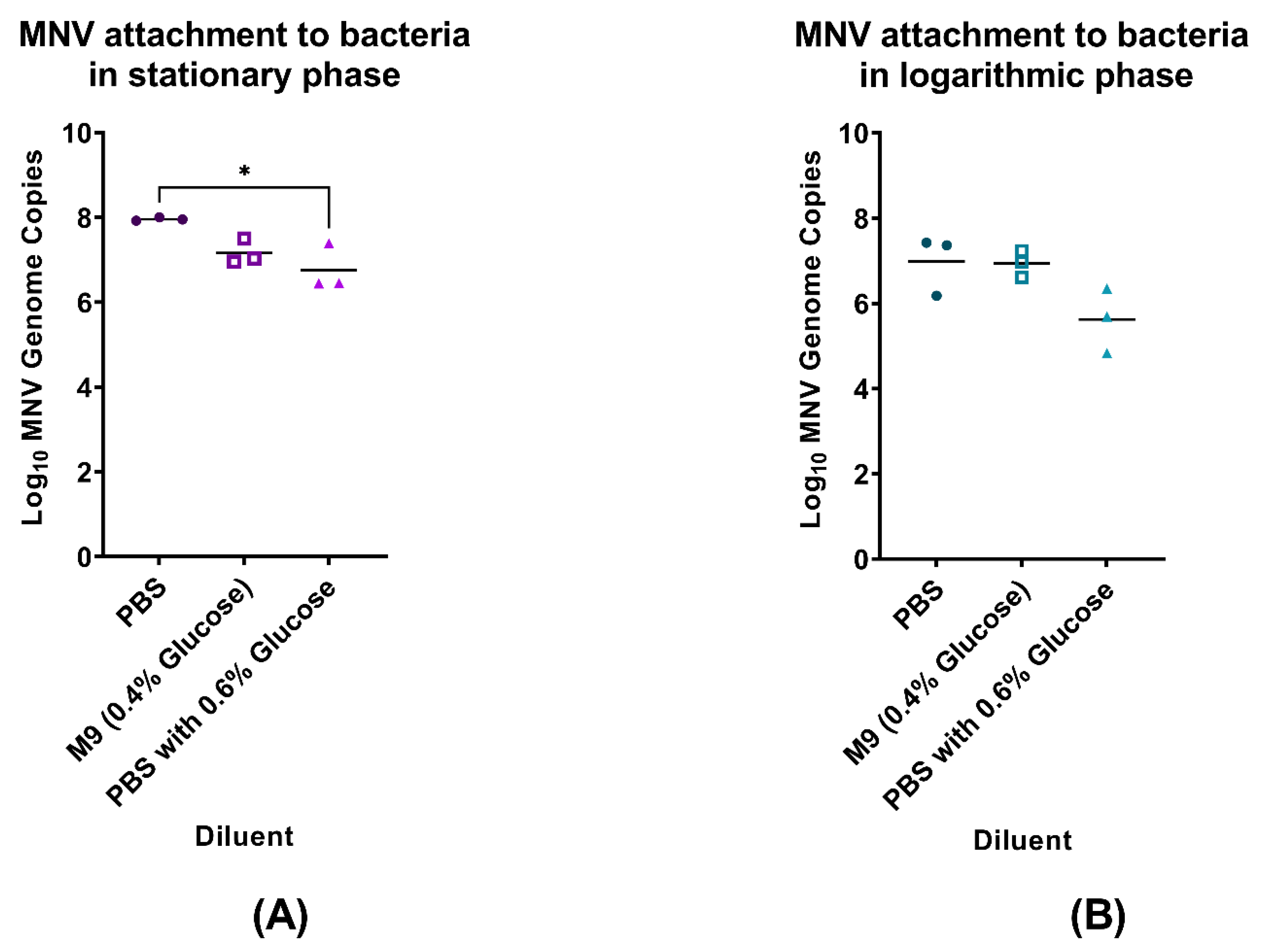 Viruses 14 01596 g001 Viruses 14 01596 g001
