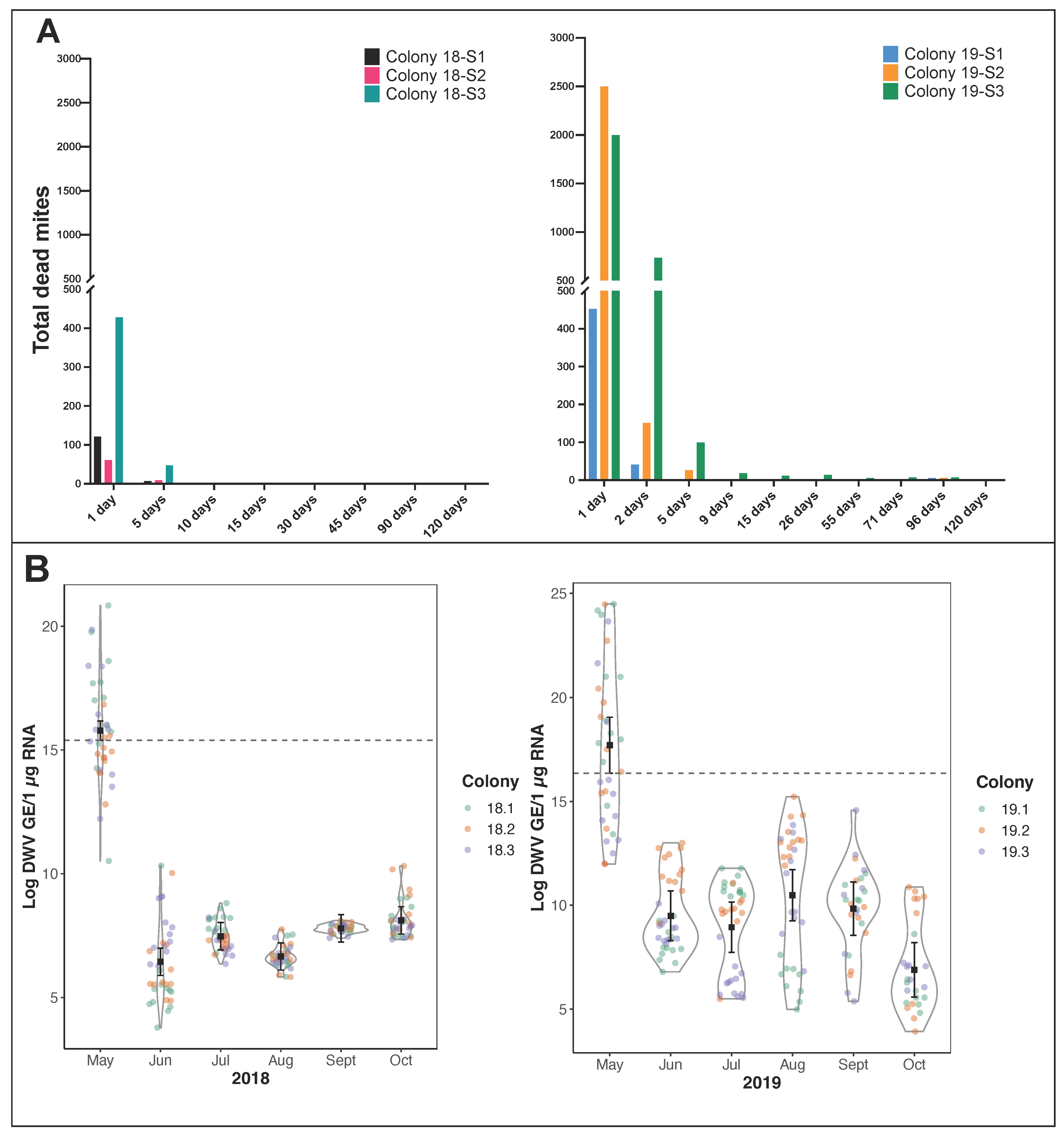 Viruses 14 01597 g001