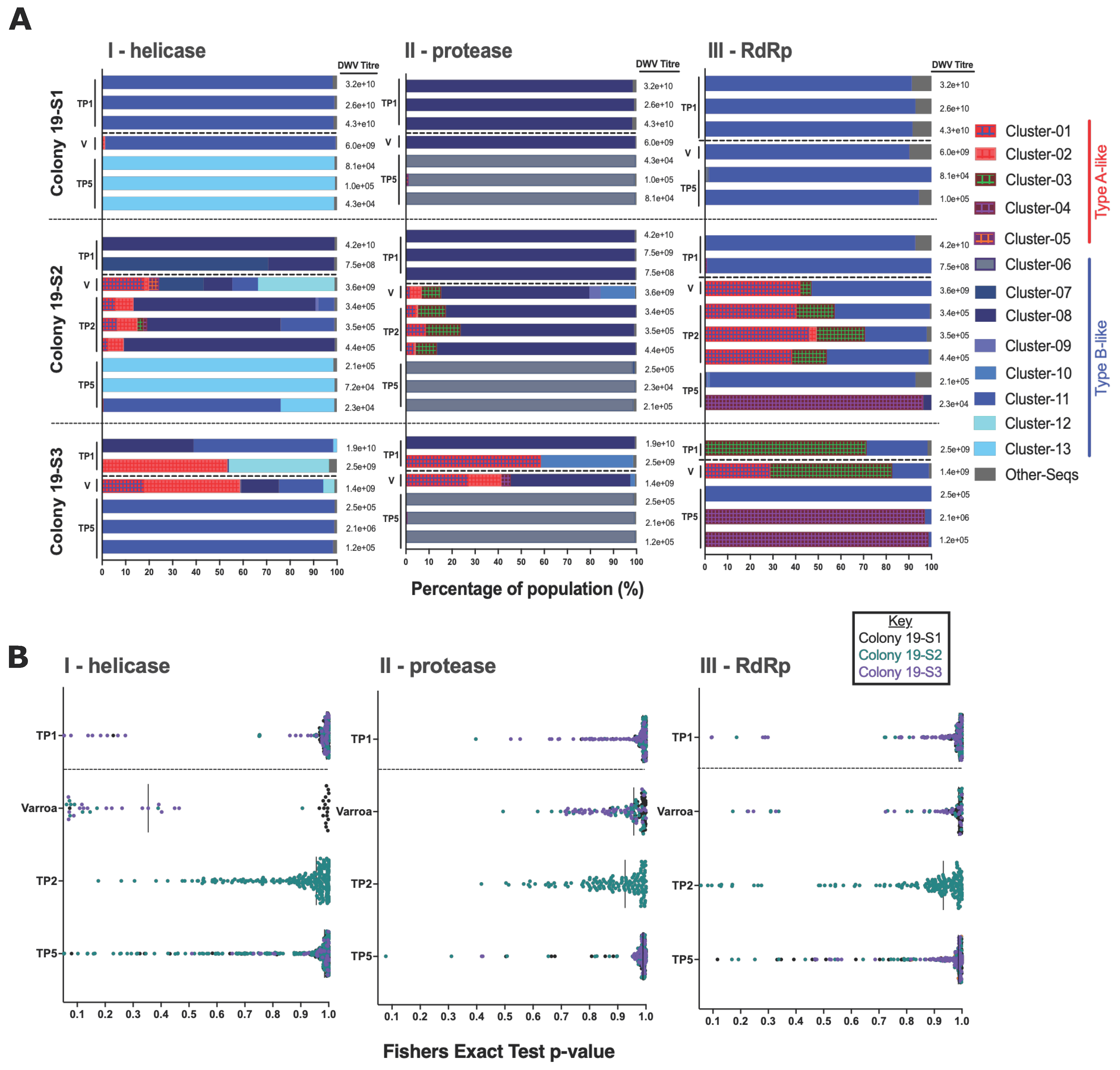 Viruses 14 01597 g002