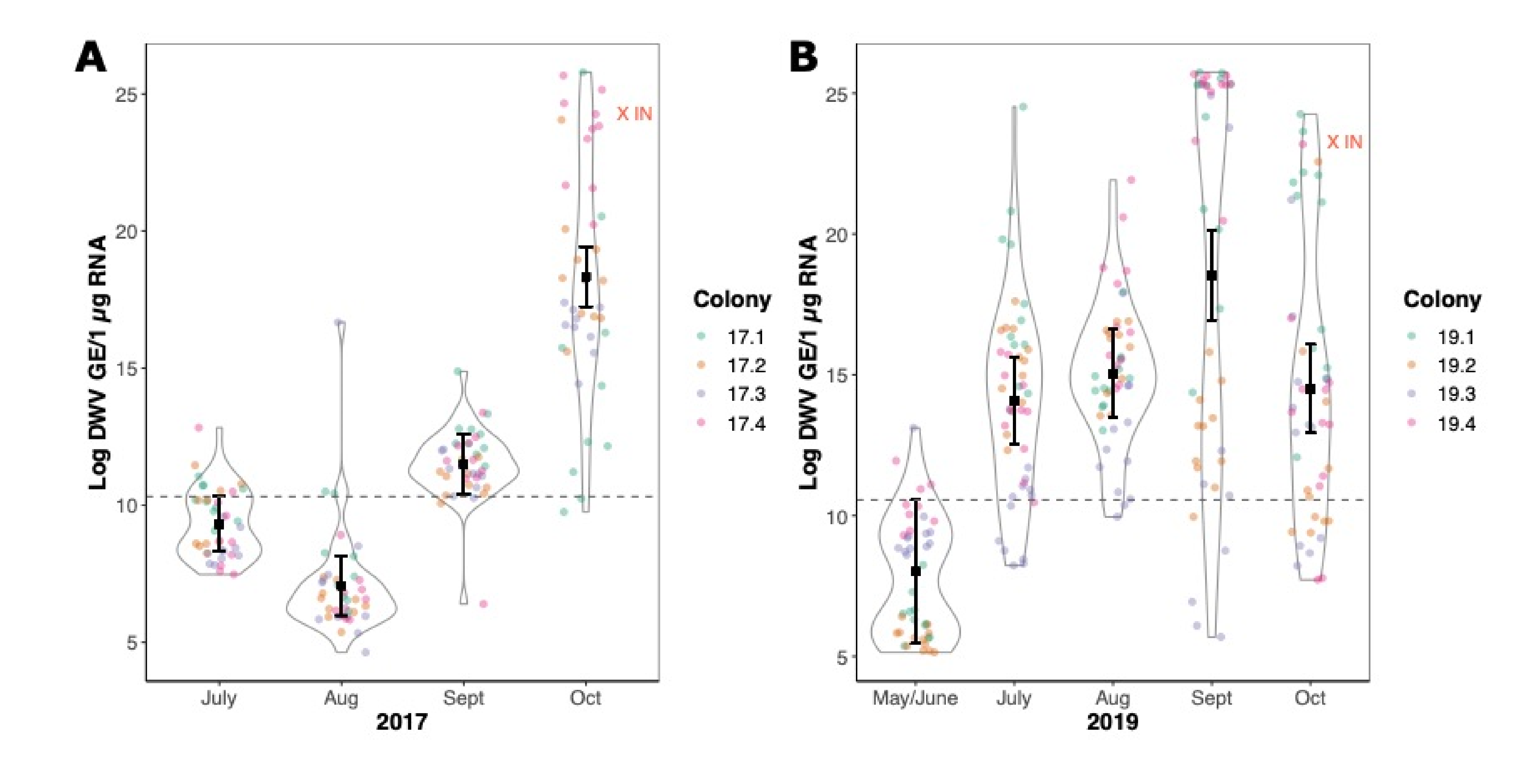 Viruses 14 01597 g003