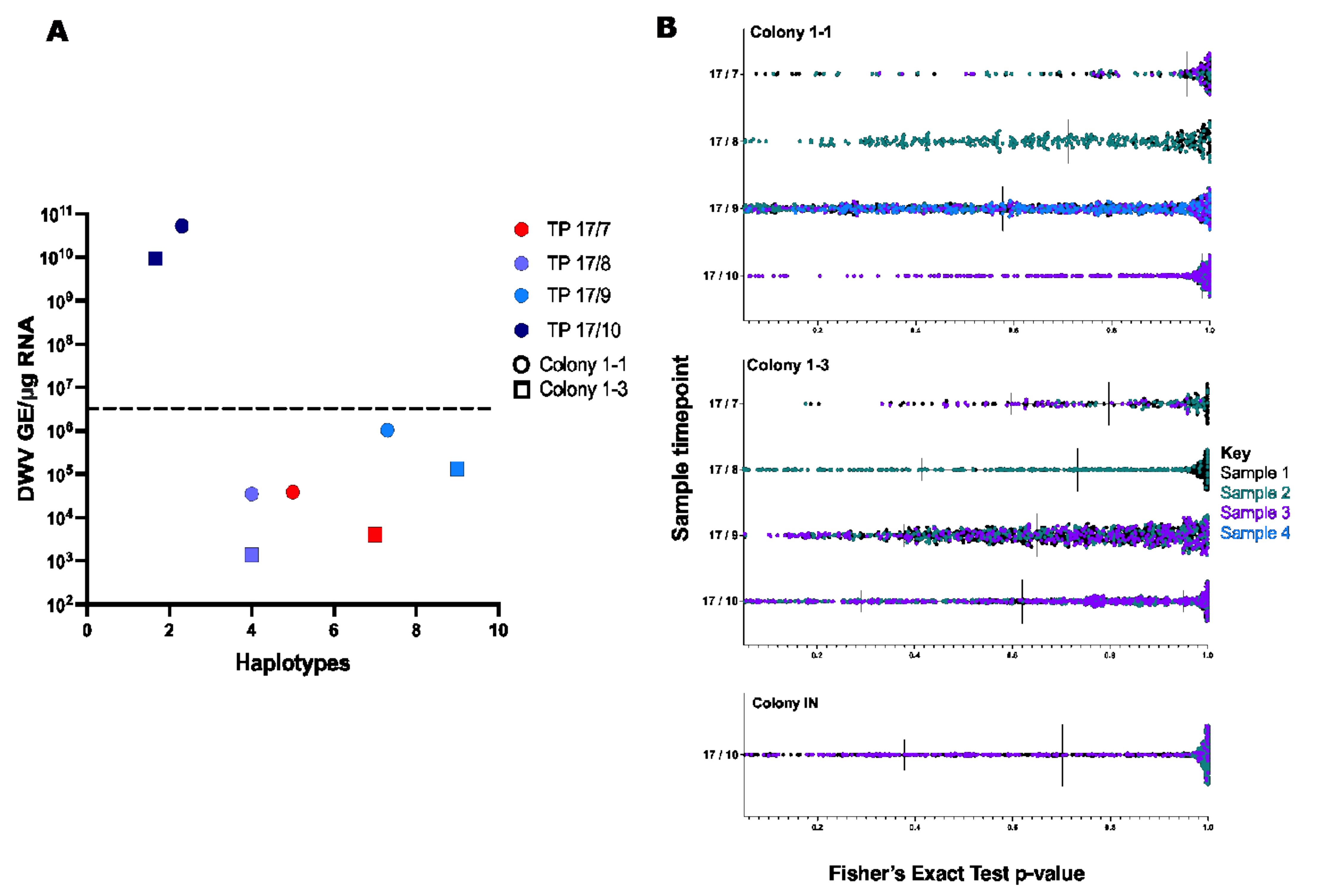 Viruses 14 01597 g004
