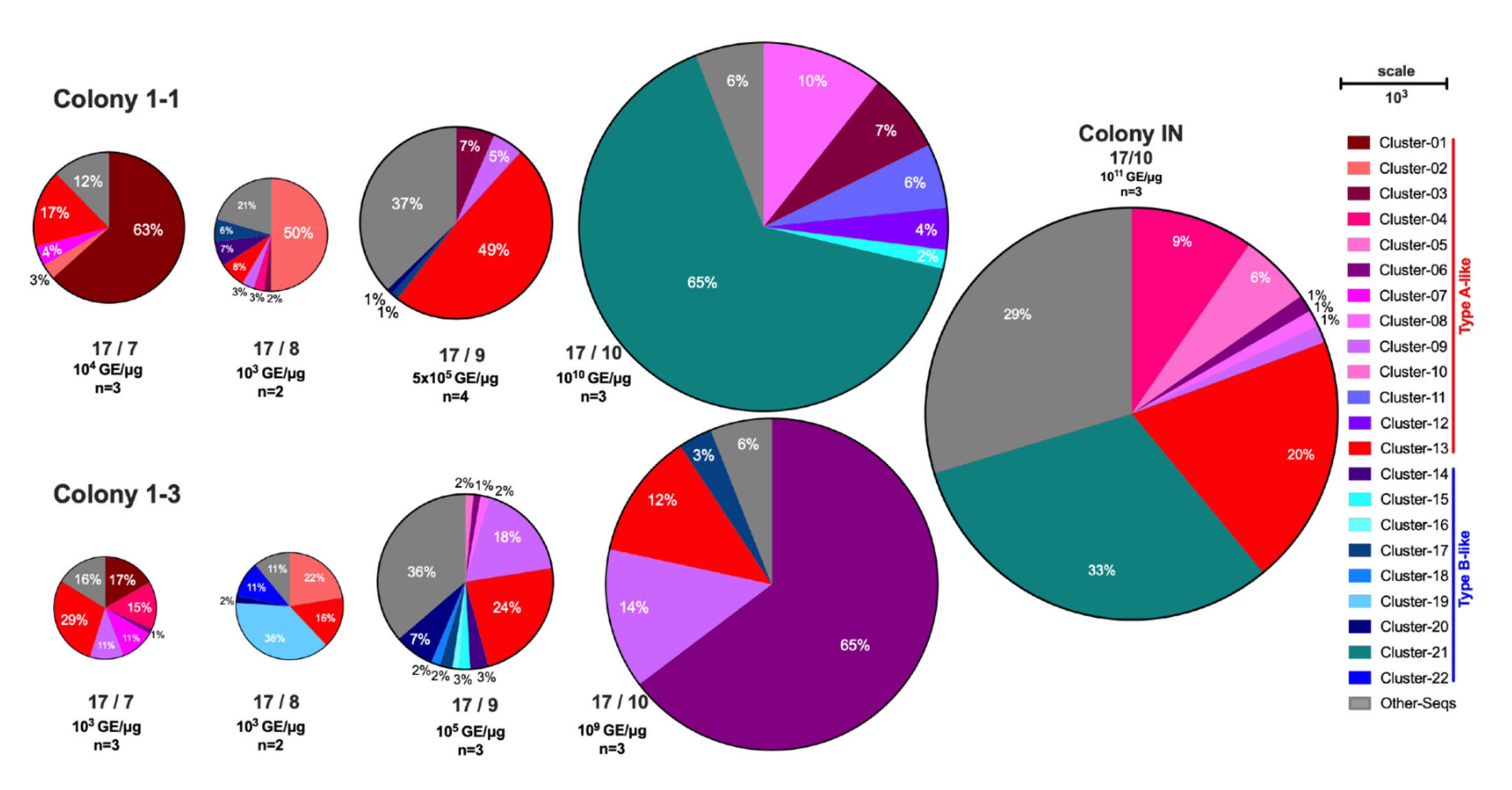 Viruses 14 01597 g005
