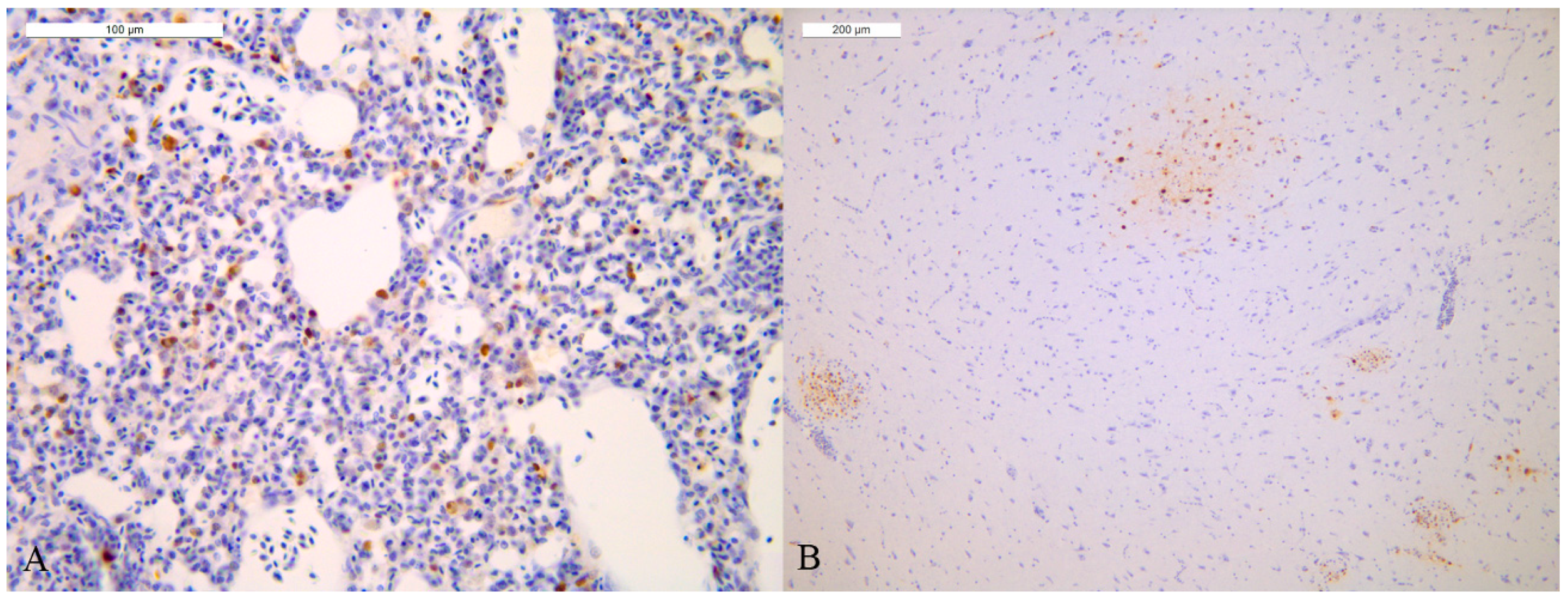 Viruses 14 01600 g006