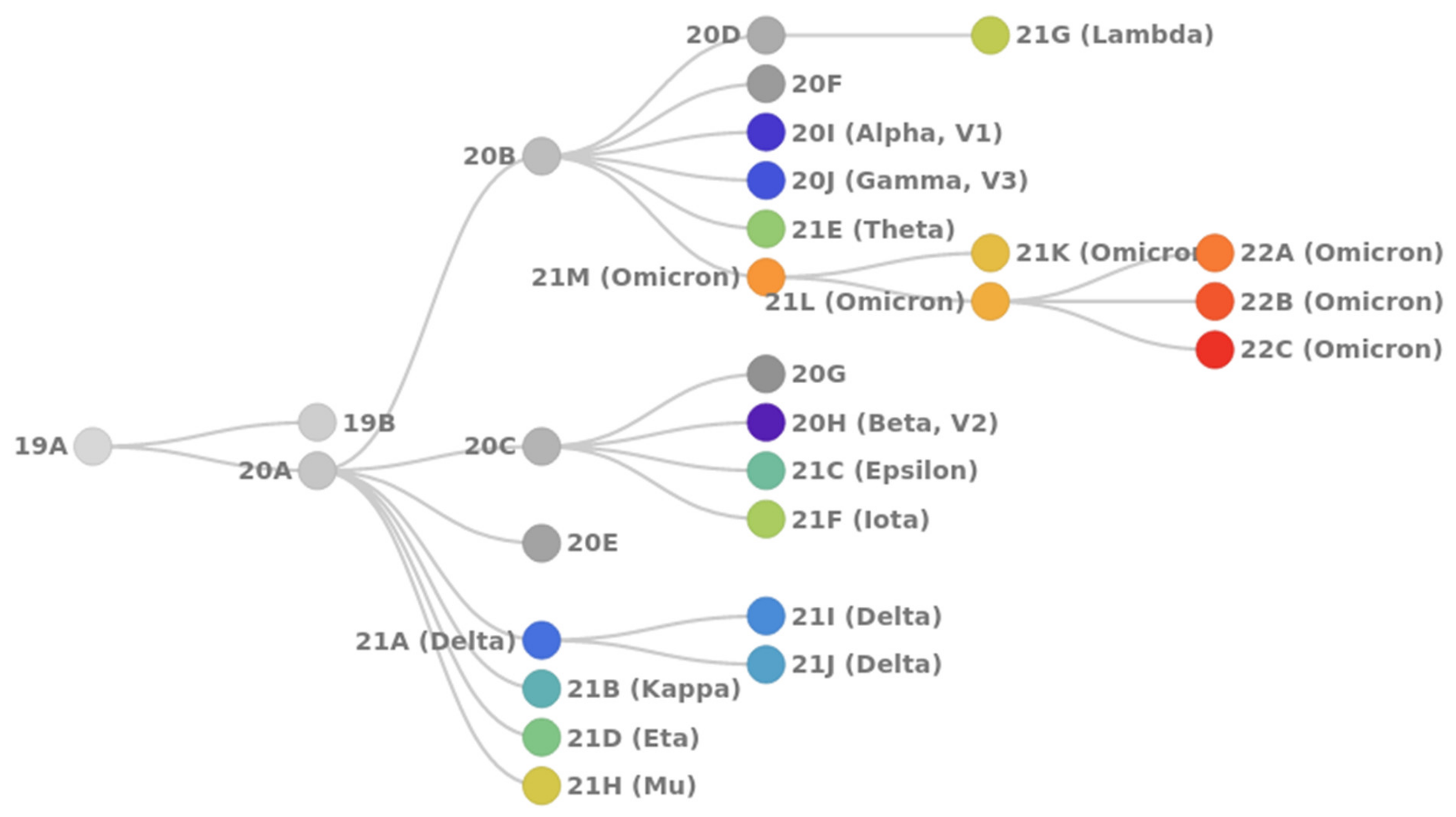 Viruses 14 01603 g001 550