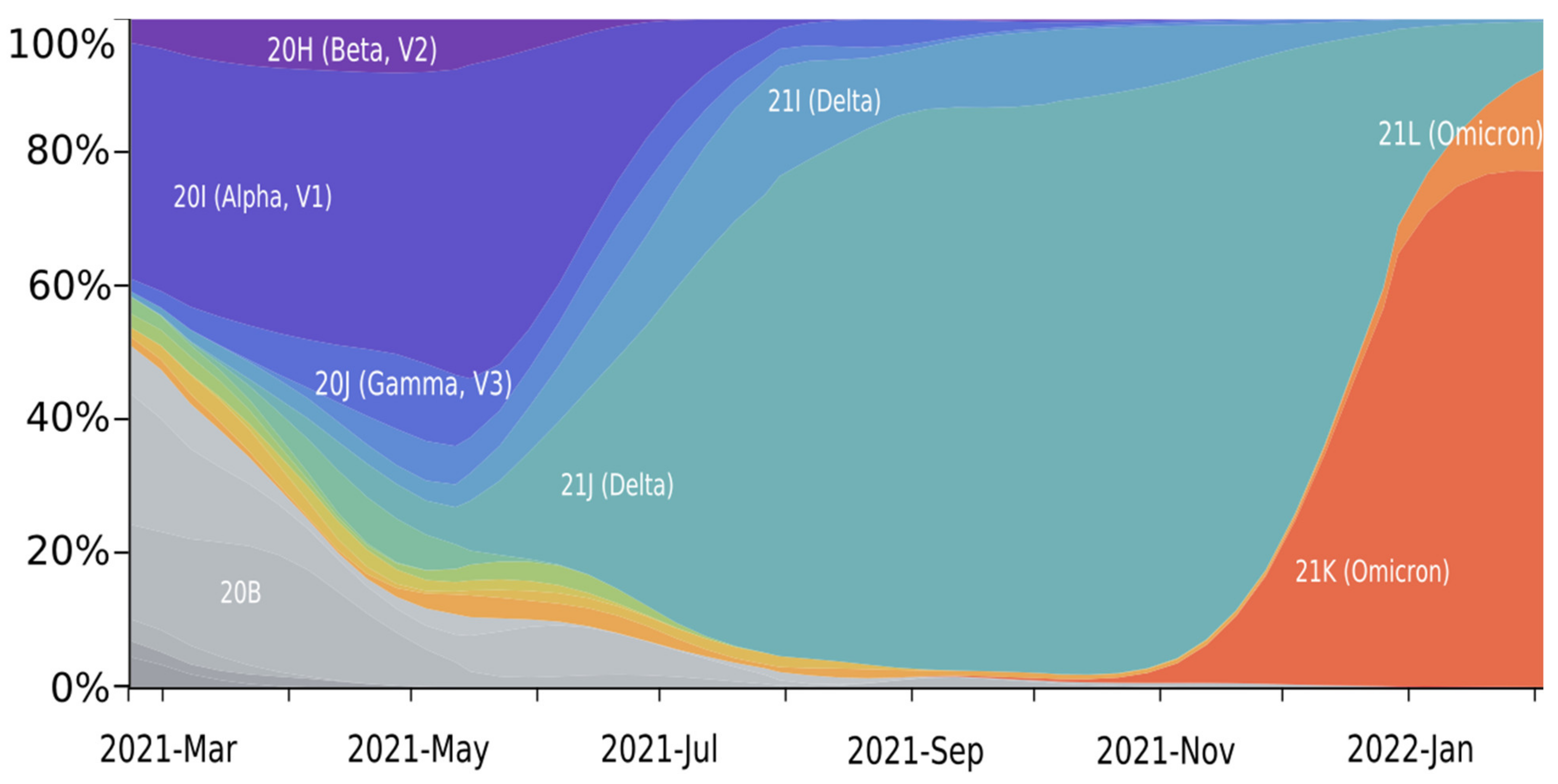 Viruses 14 01603 g002 550
