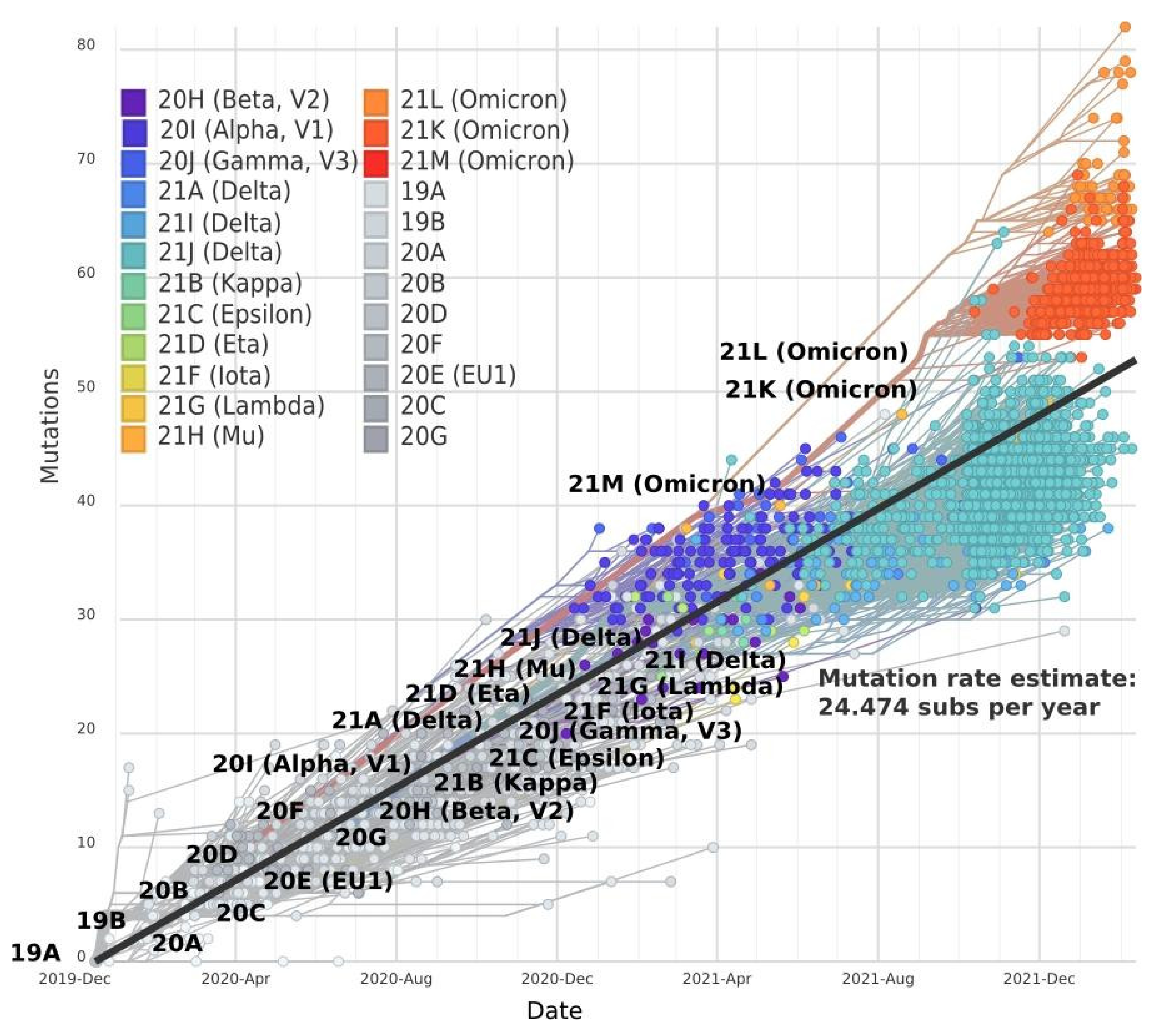 Viruses 14 01603 g003 550