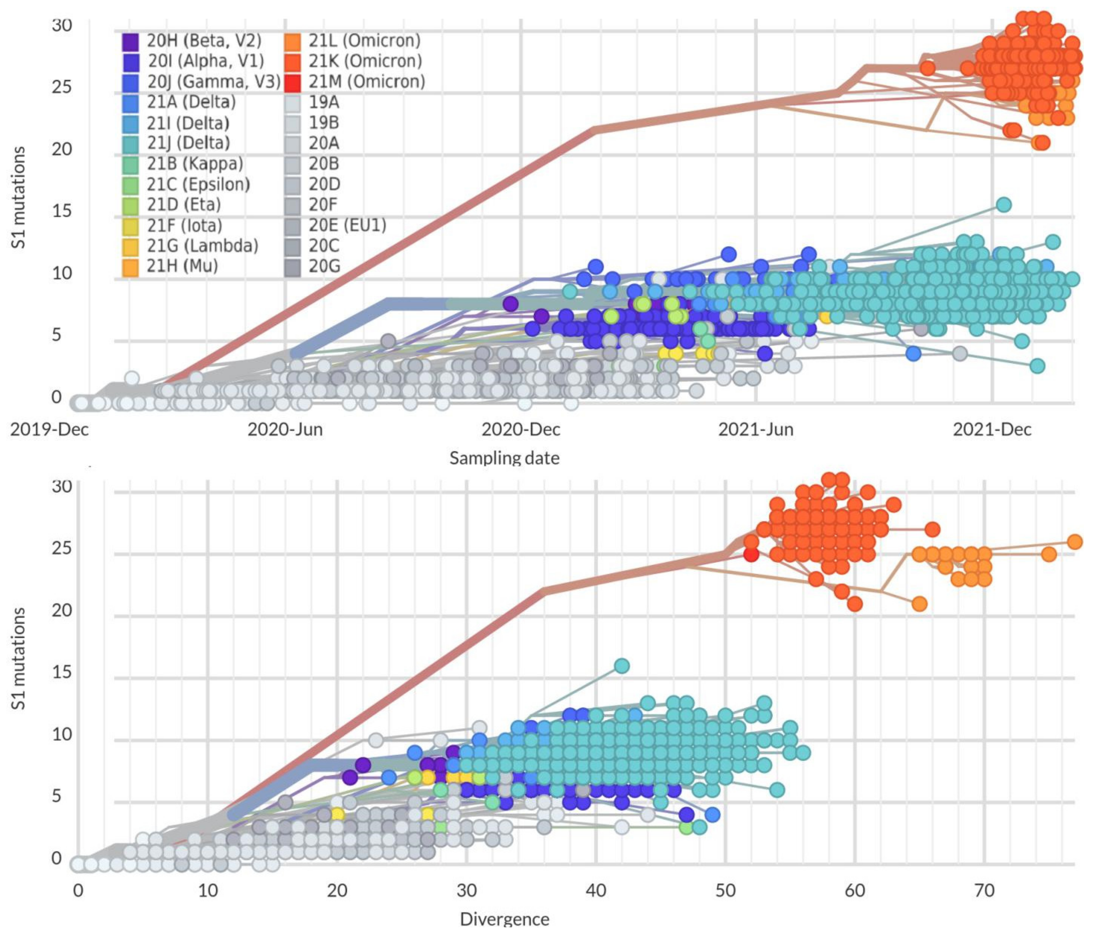 Viruses 14 01603 g004 550