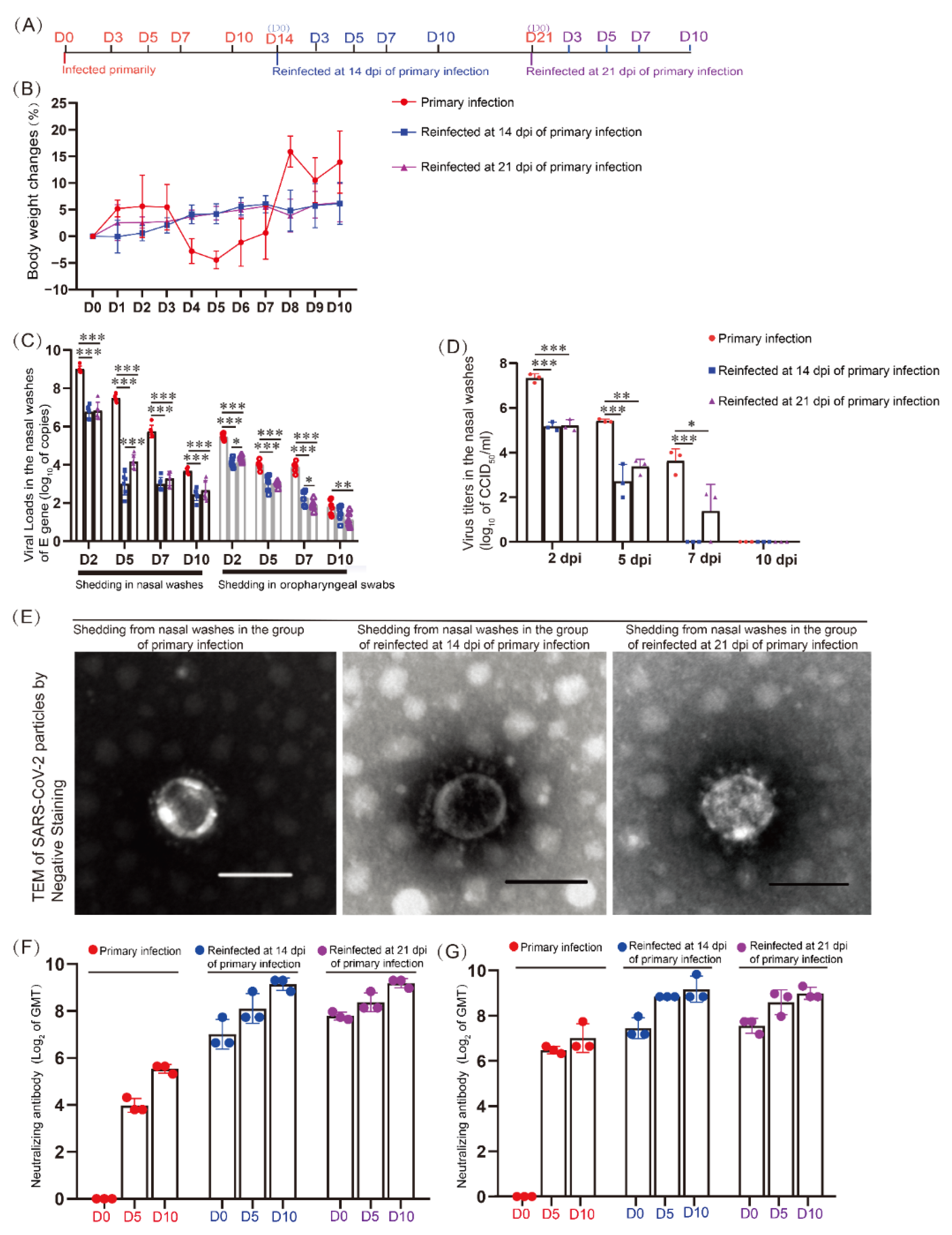 Viruses 14 01608 g001 Viruses 14 01608 g001