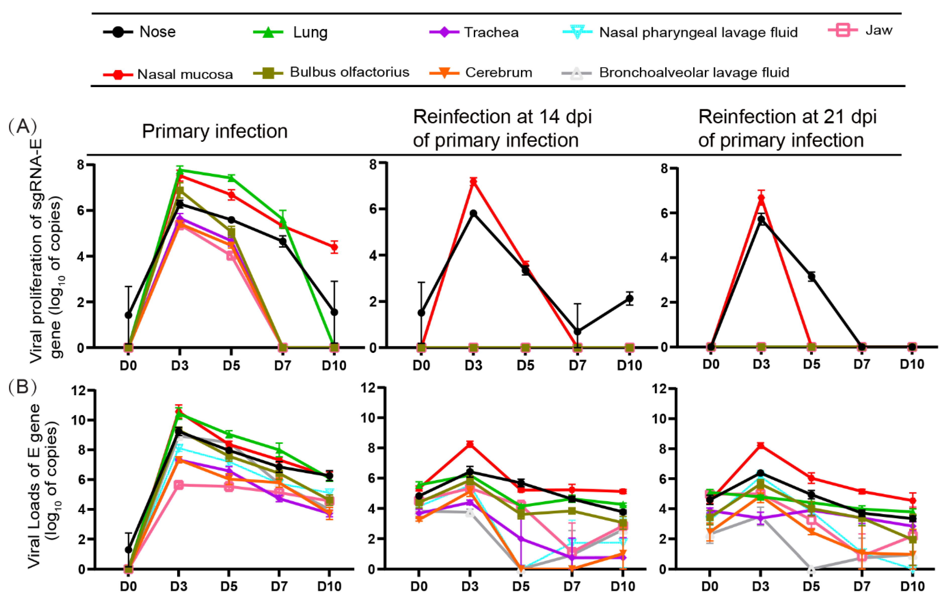 Viruses 14 01608 g002 Viruses 14 01608 g002