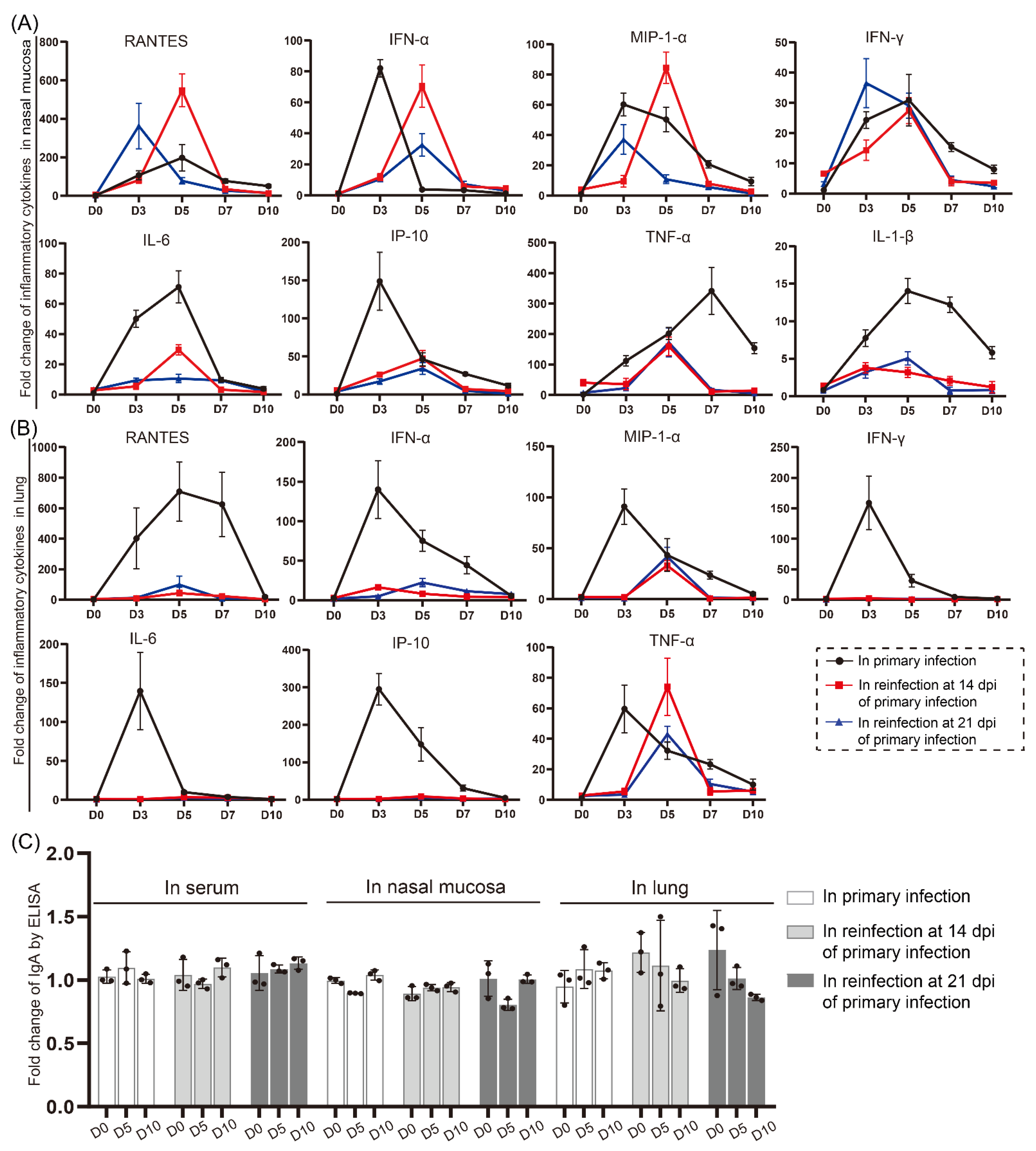 Viruses 14 01608 g008 Viruses 14 01608 g008