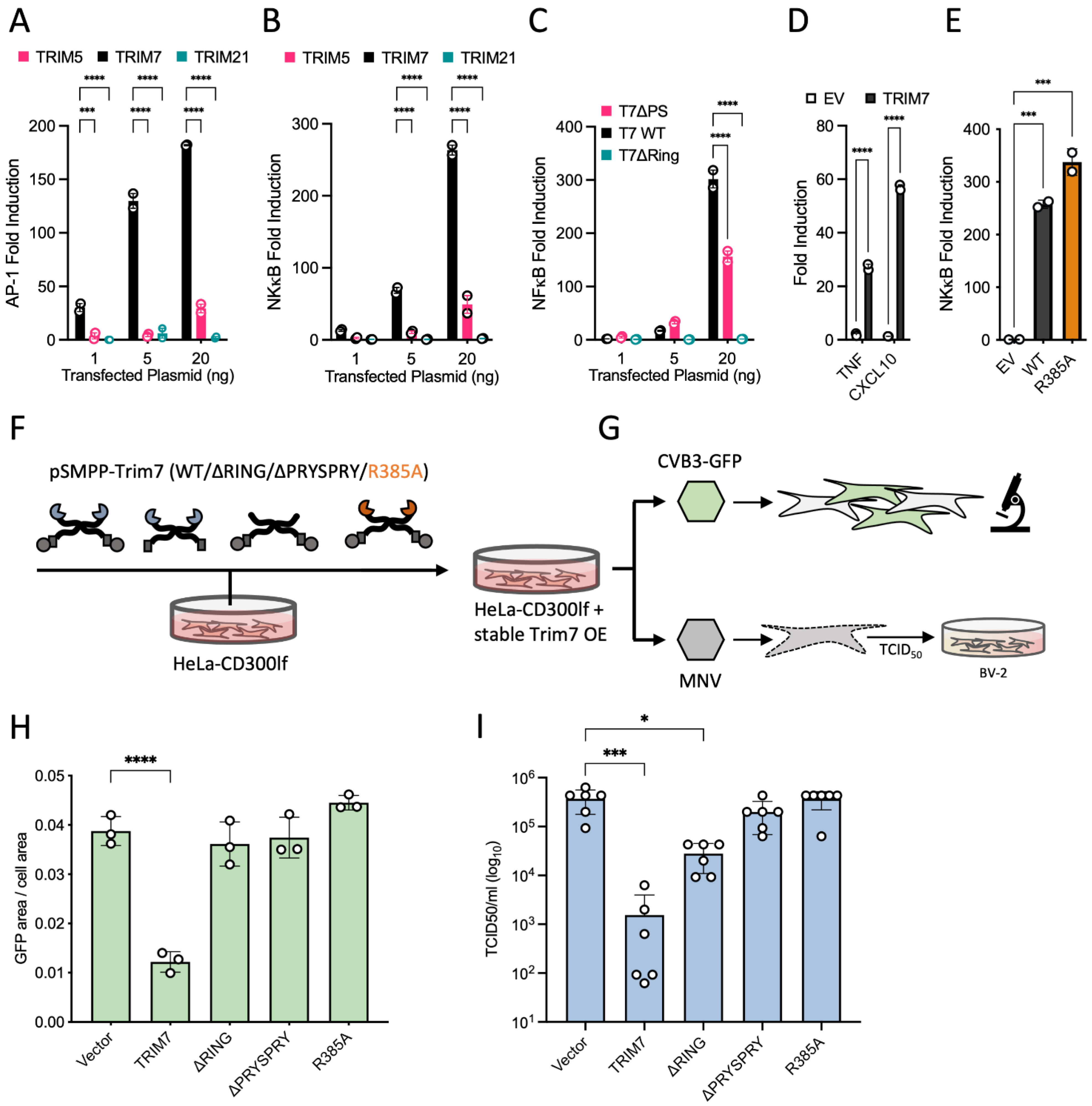Viruses 14 01610 g004 550
