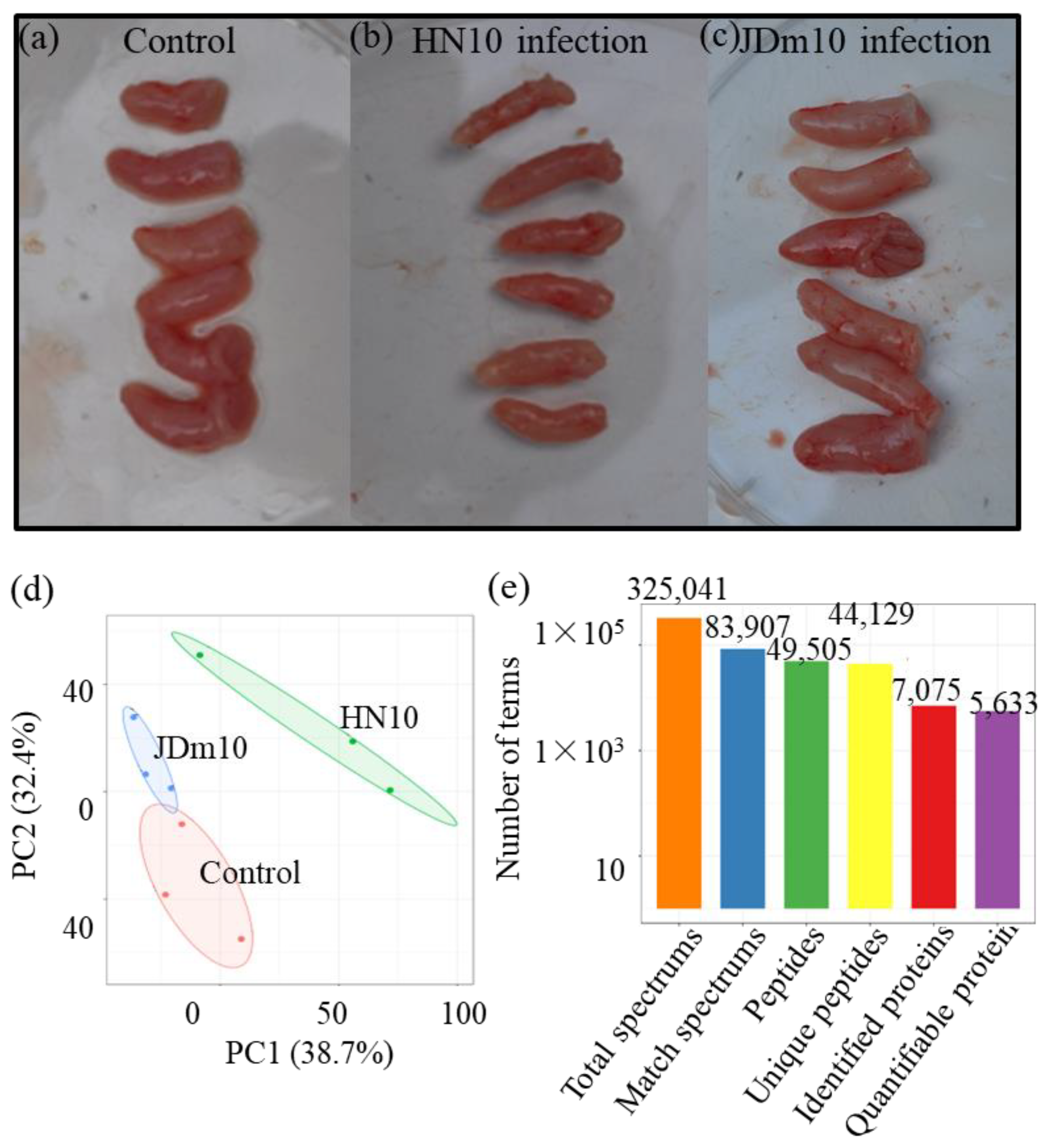 Viruses 14 01615 g001