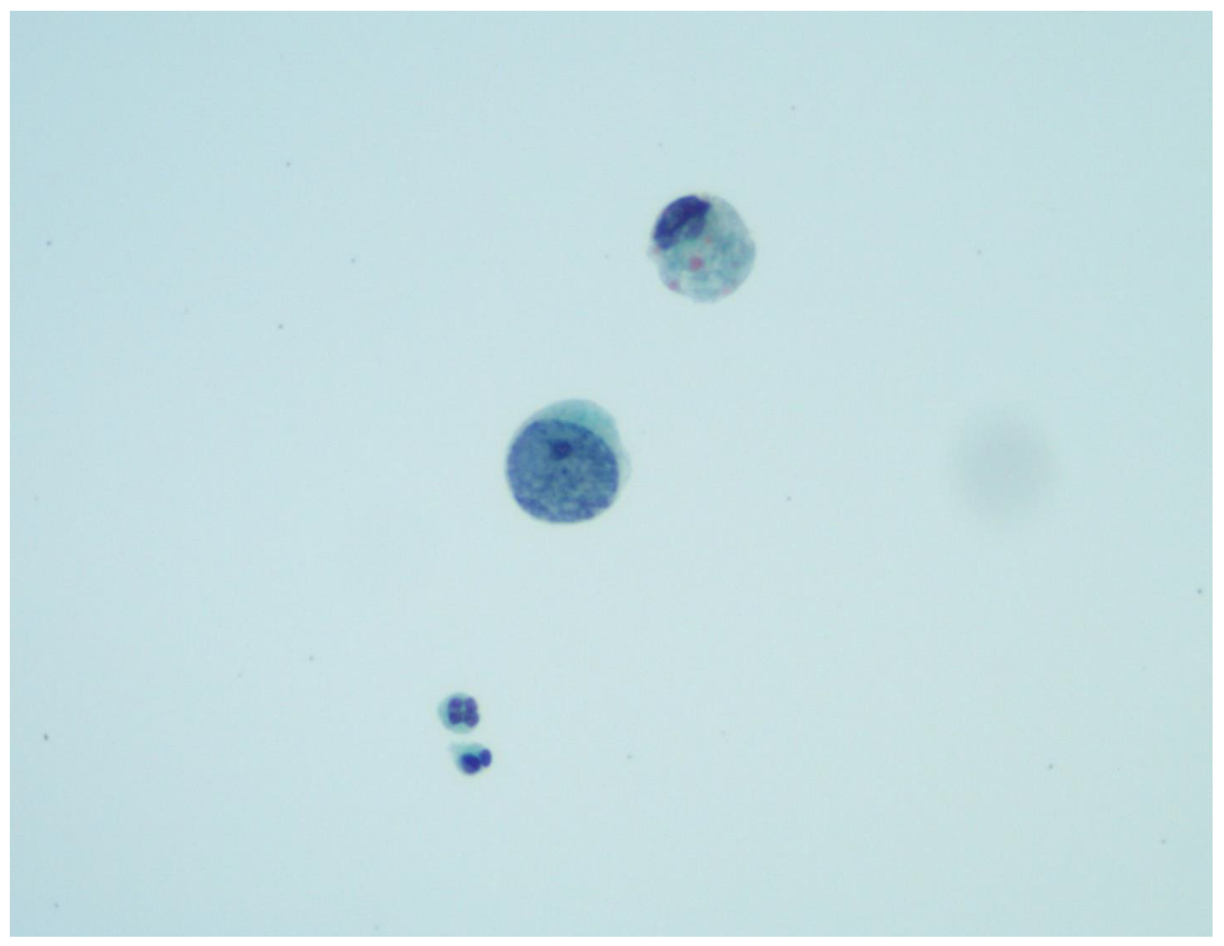 Viruses 14 01616 g001 Viruses 14 01616 g001