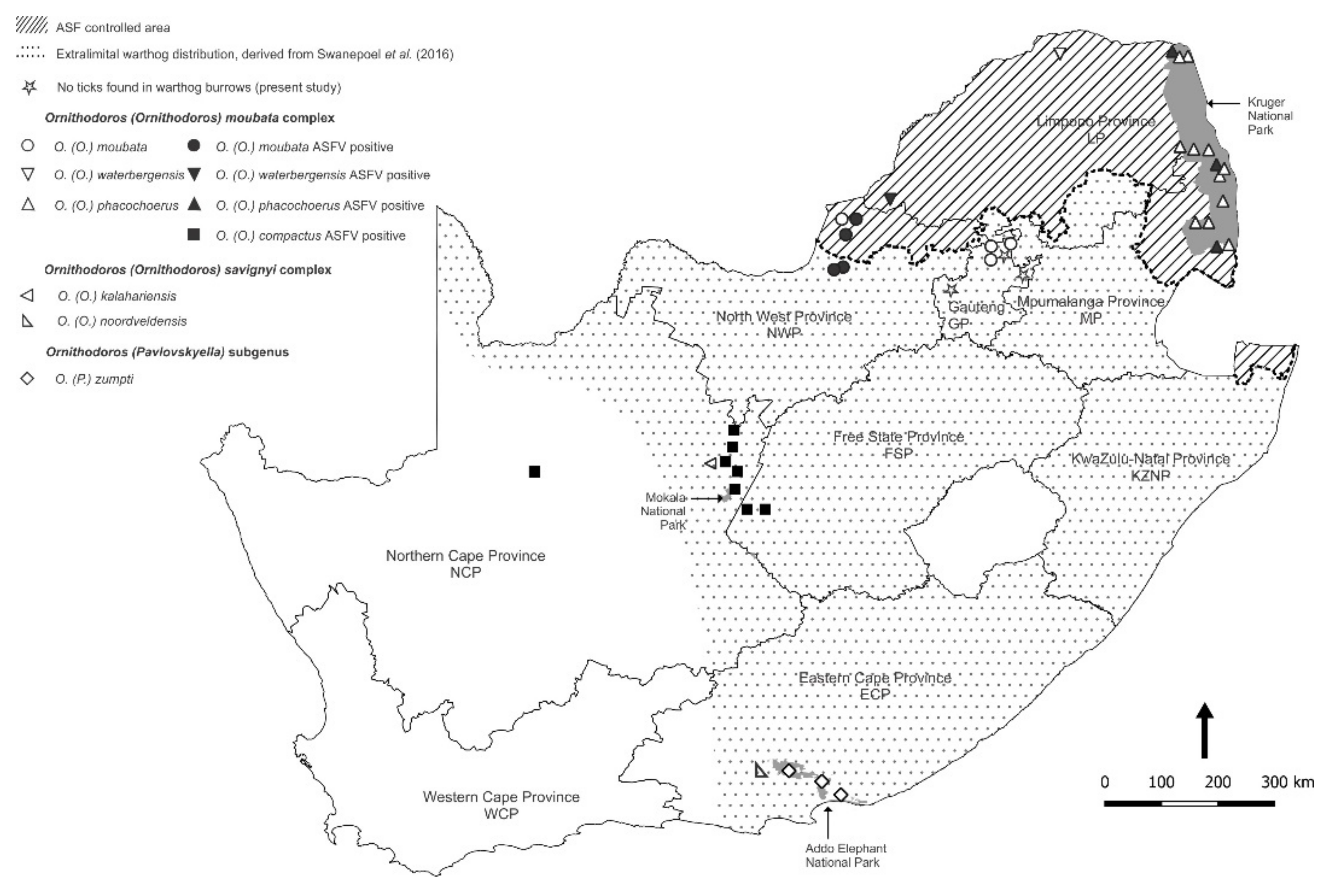 Viruses 14 01617 g003