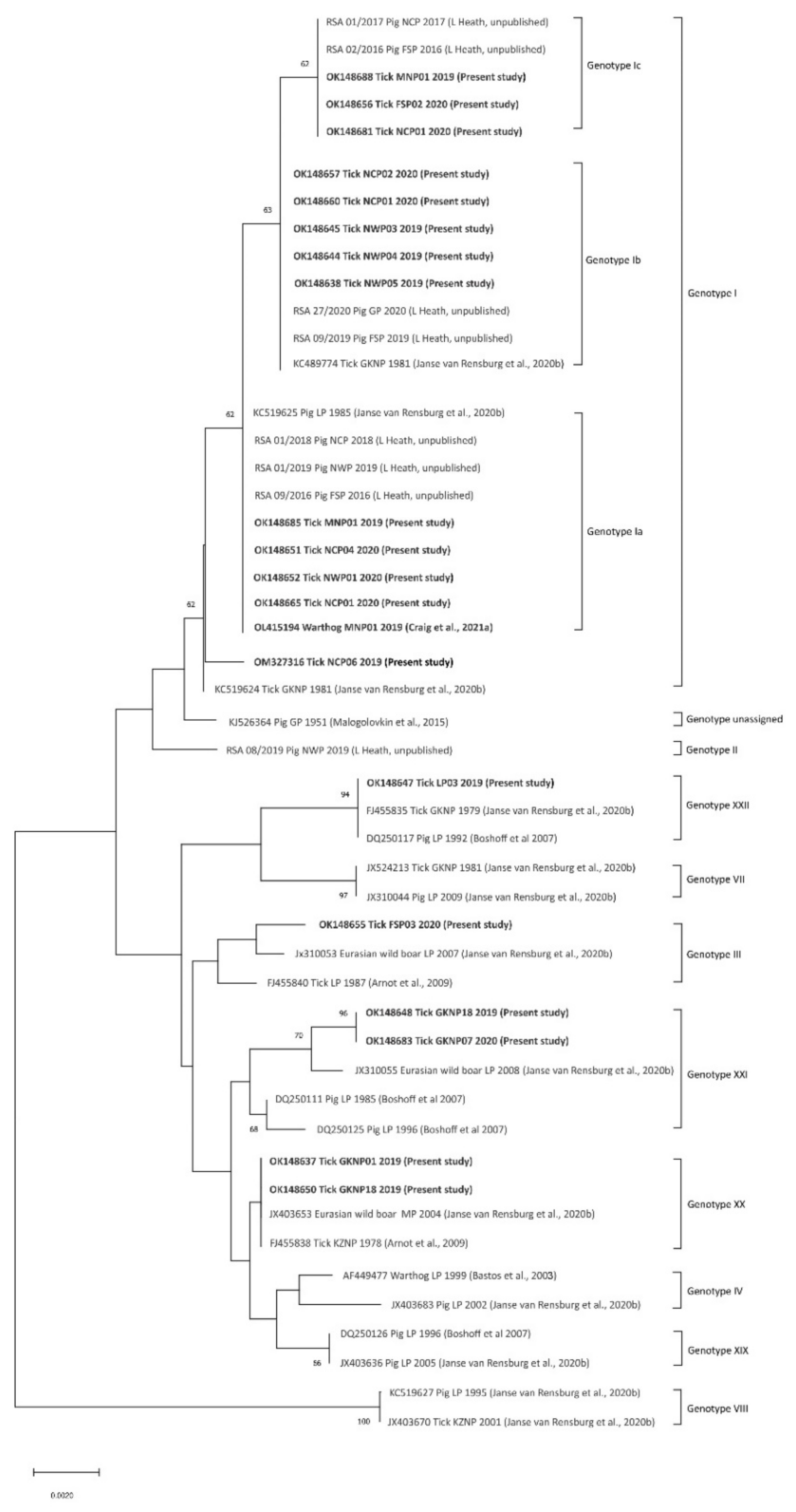 Viruses 14 01617 g004