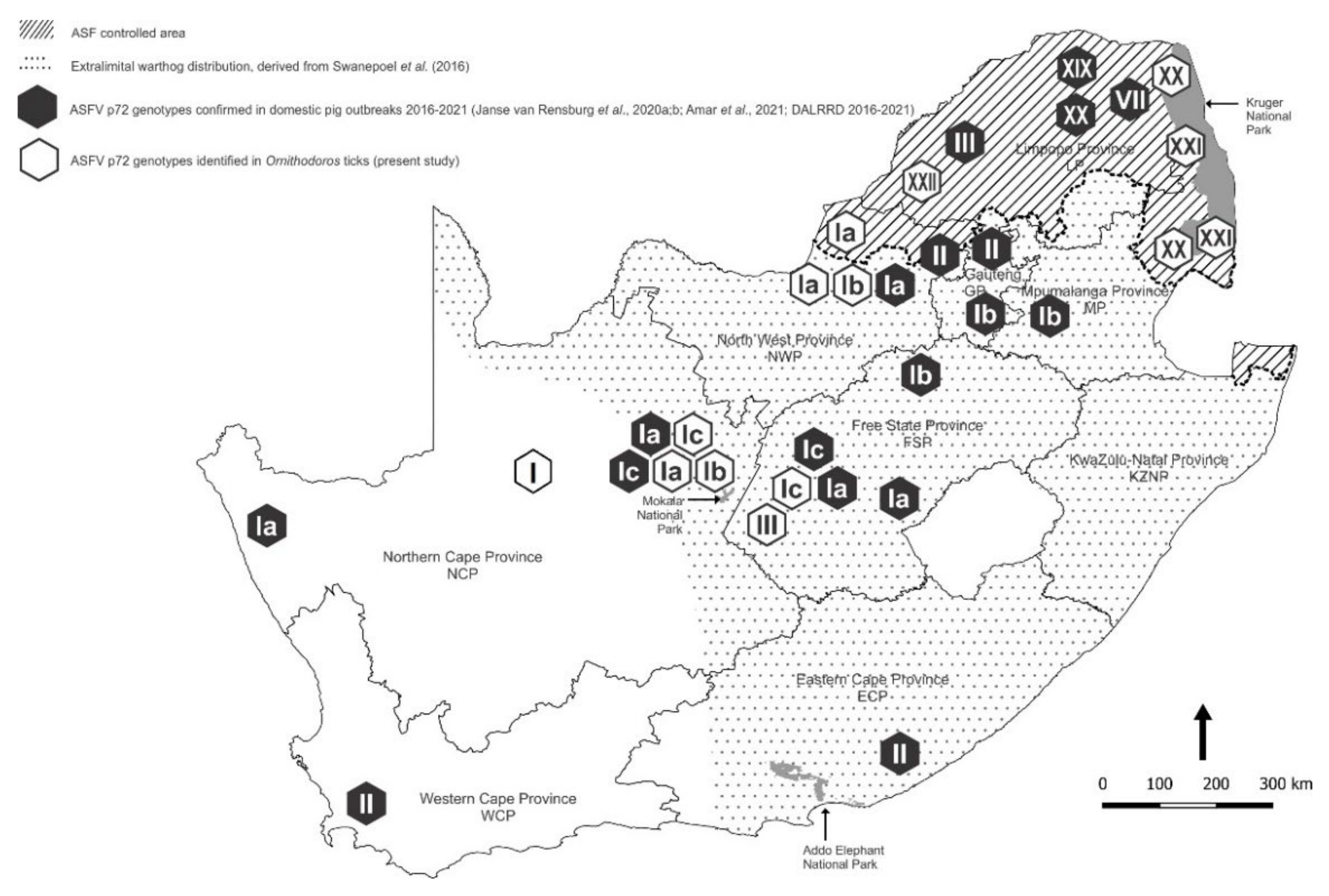 Viruses 14 01617 g005