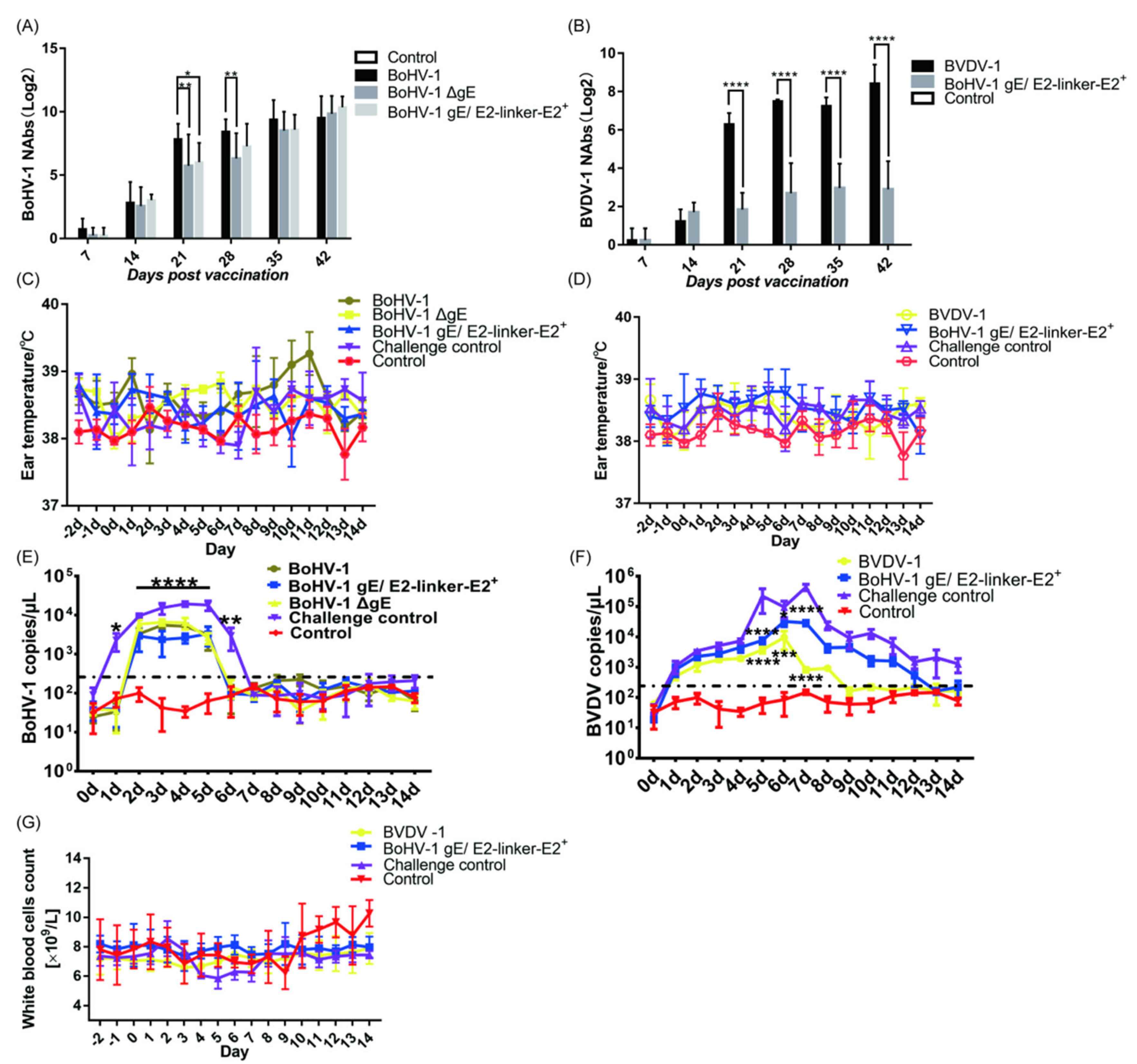 Viruses 14 01618 g003 Viruses 14 01618 g003