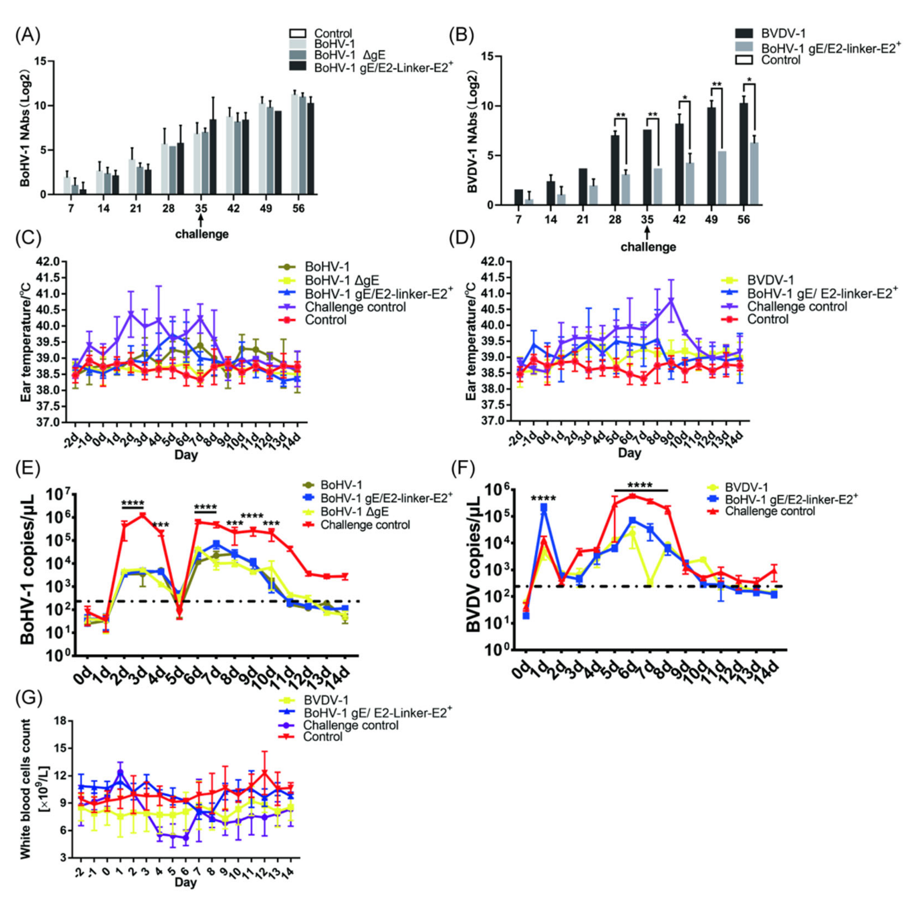 Viruses 14 01618 g005 Viruses 14 01618 g005