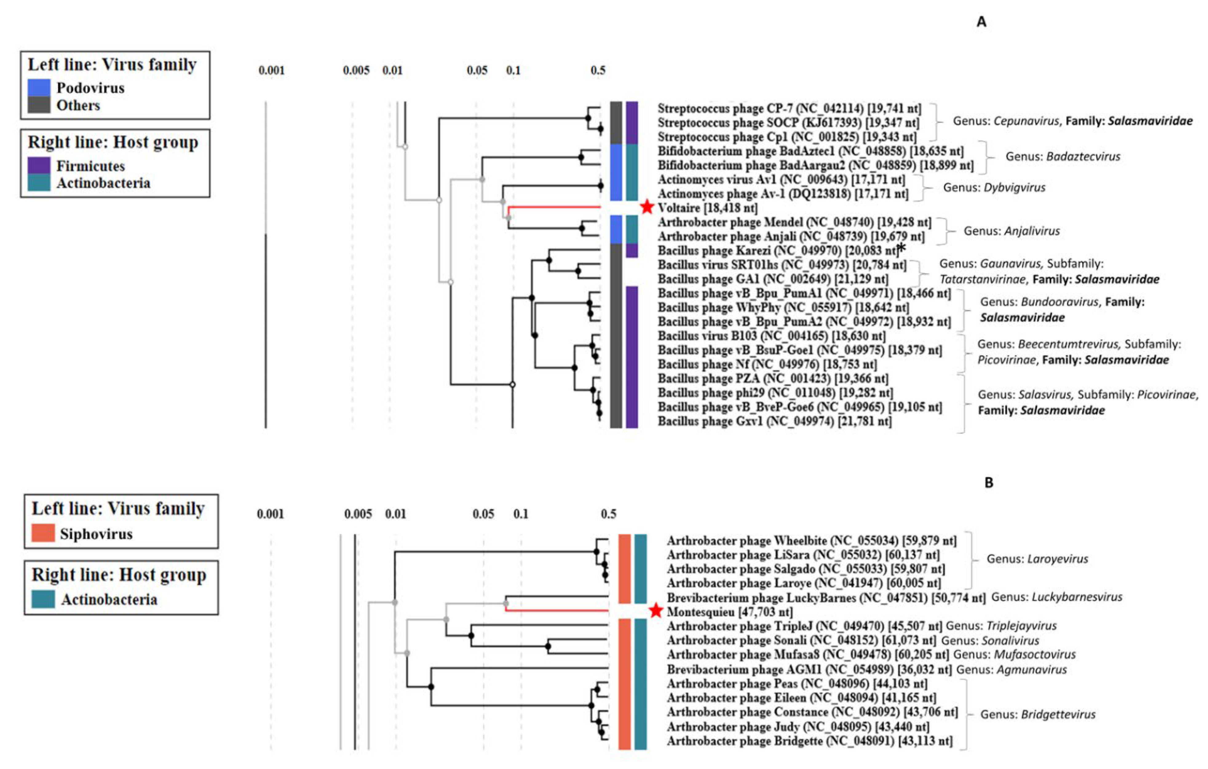 Viruses 14 01620 g002 550