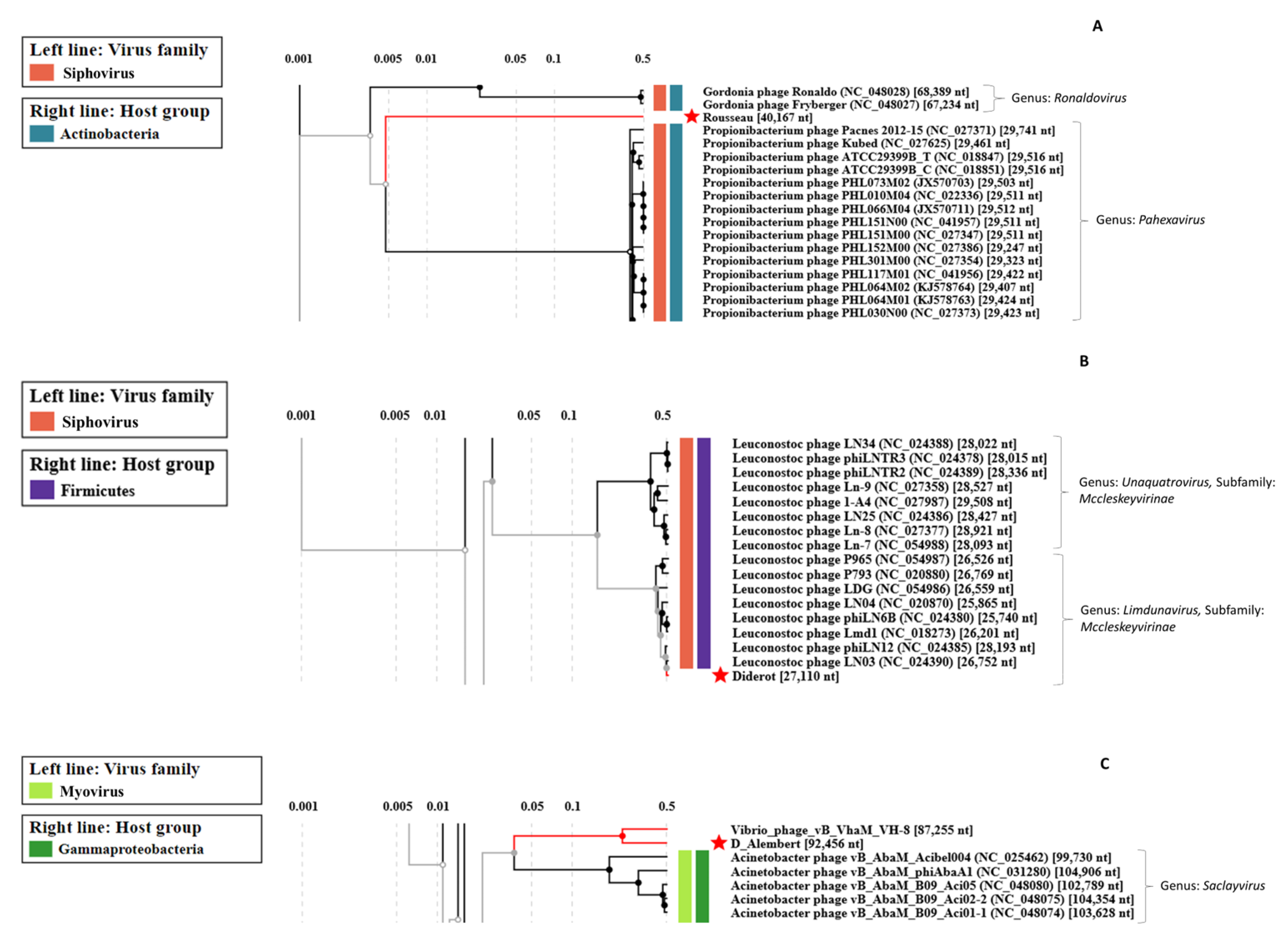 Viruses 14 01620 g003 550
