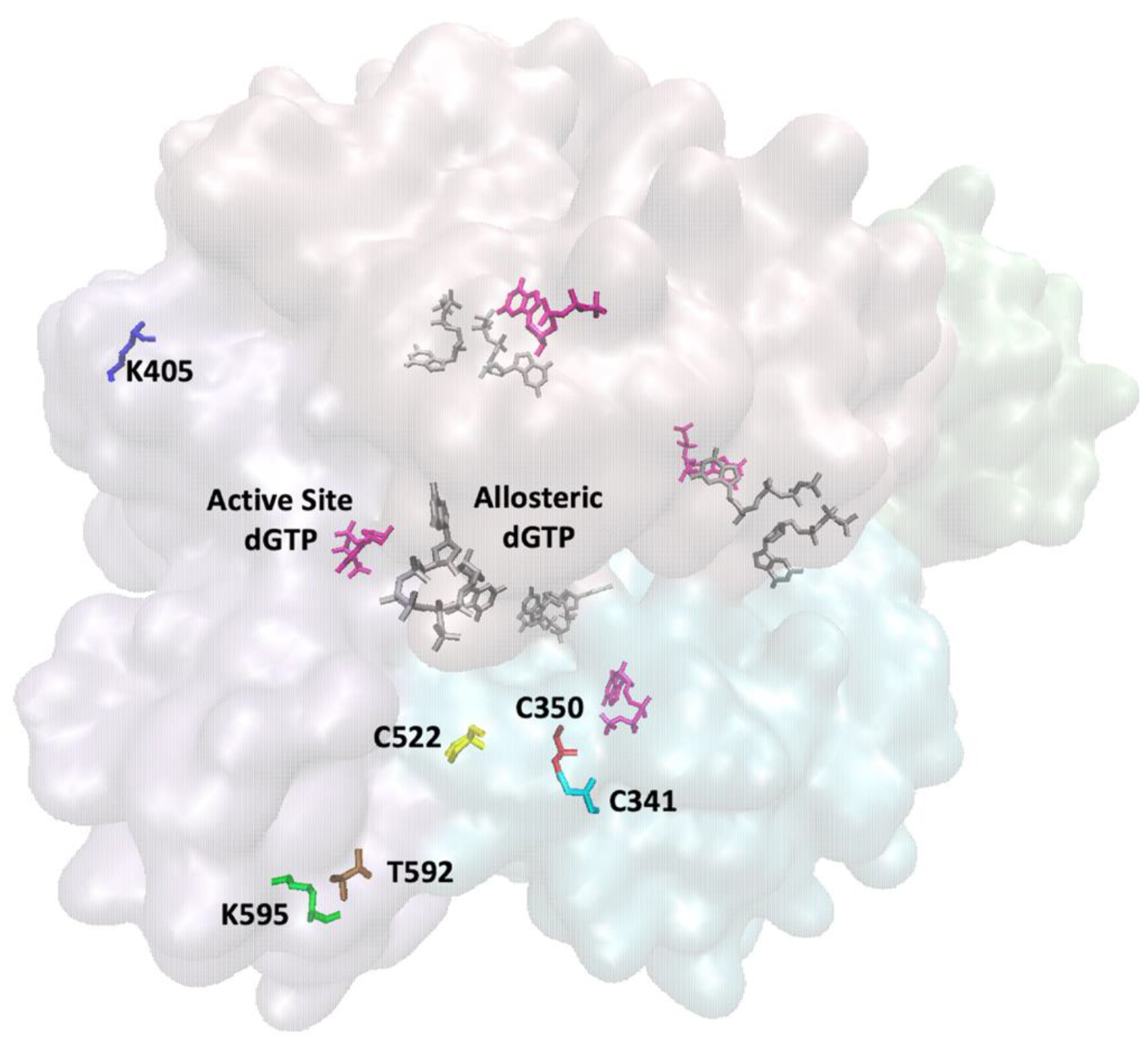 Viruses 14 01622 g002 Viruses 14 01622 g002