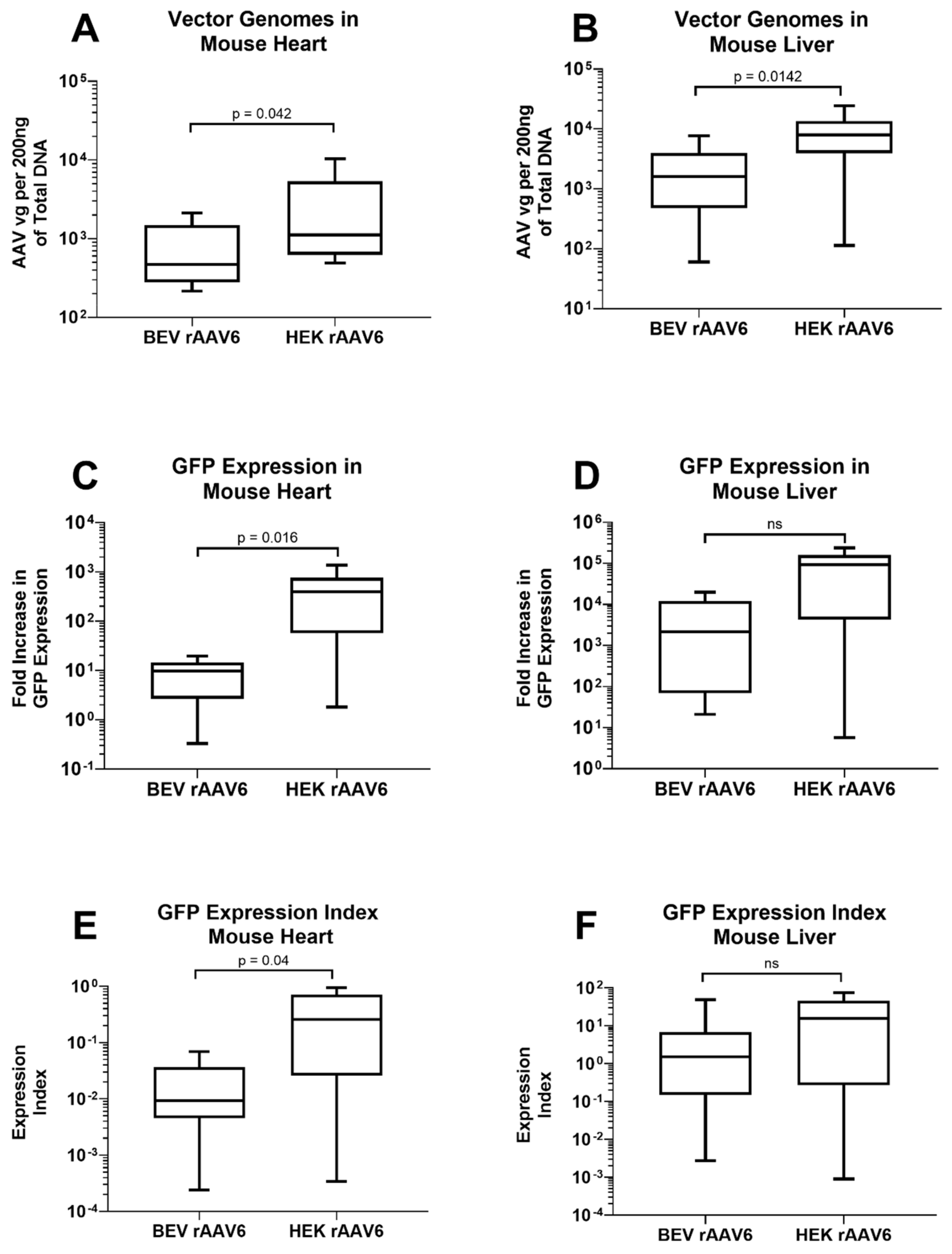 Viruses 14 01623 g005