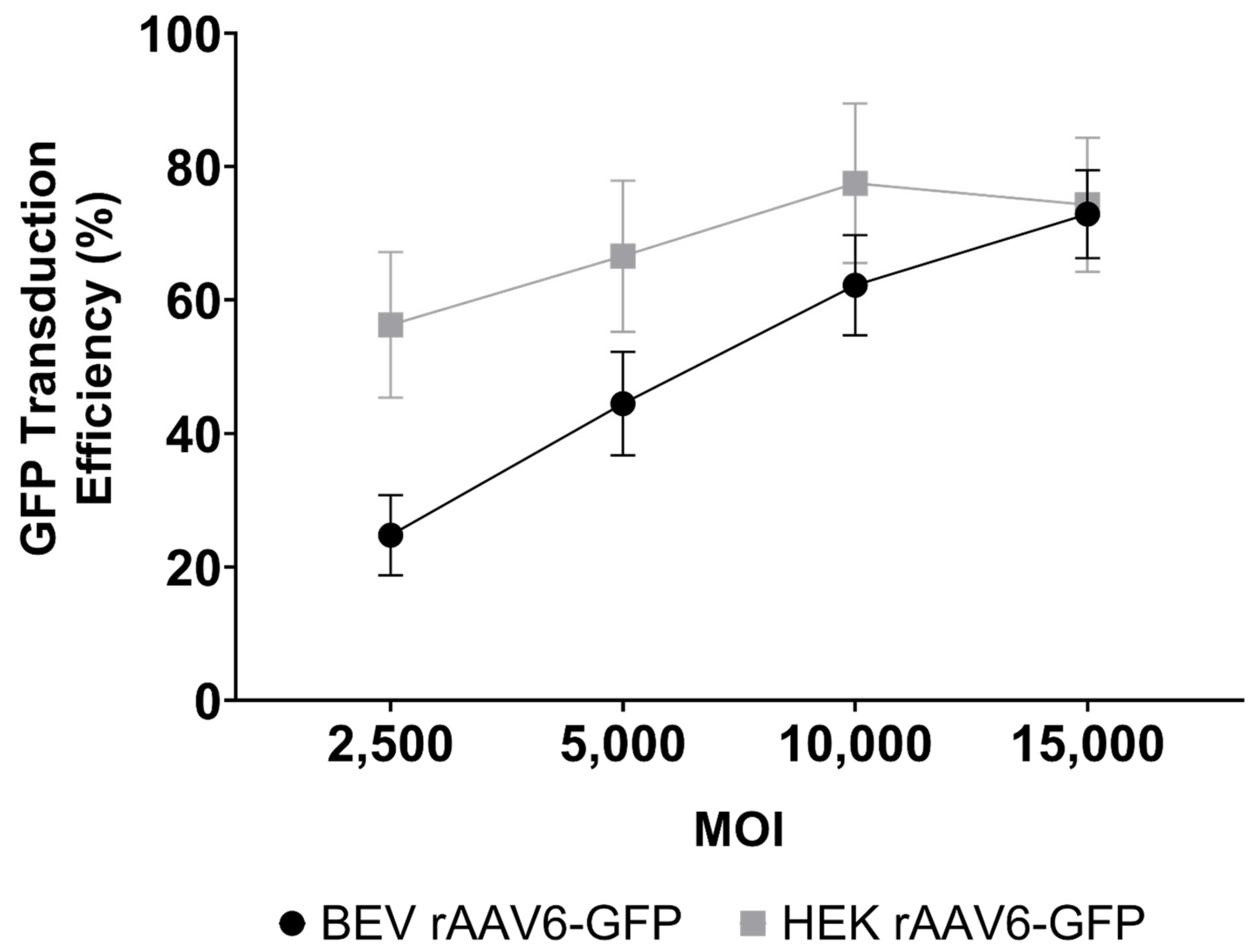 Viruses 14 01623 g006