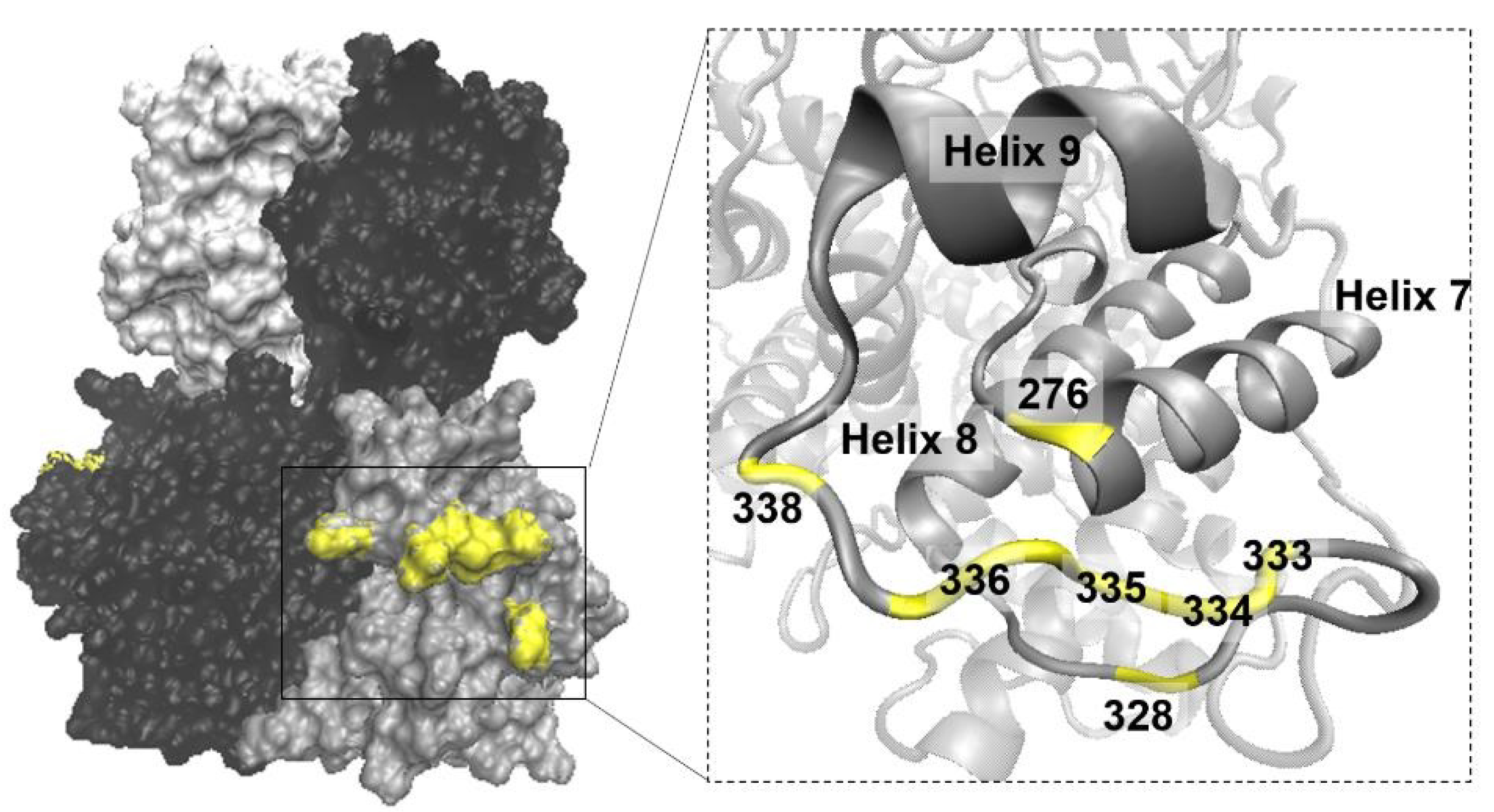 Viruses 14 01624 g005 Viruses 14 01624 g005