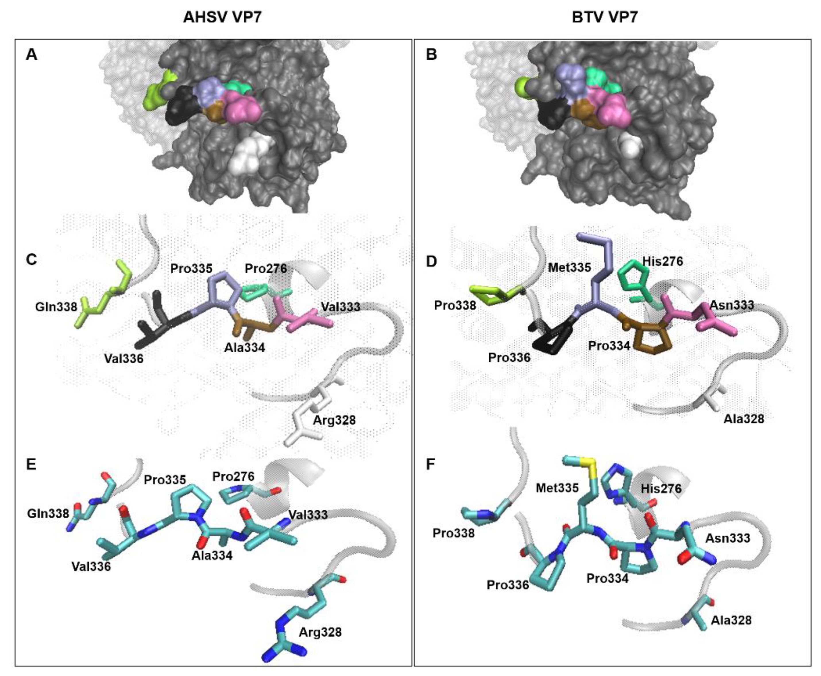 Viruses 14 01624 g006 Viruses 14 01624 g006