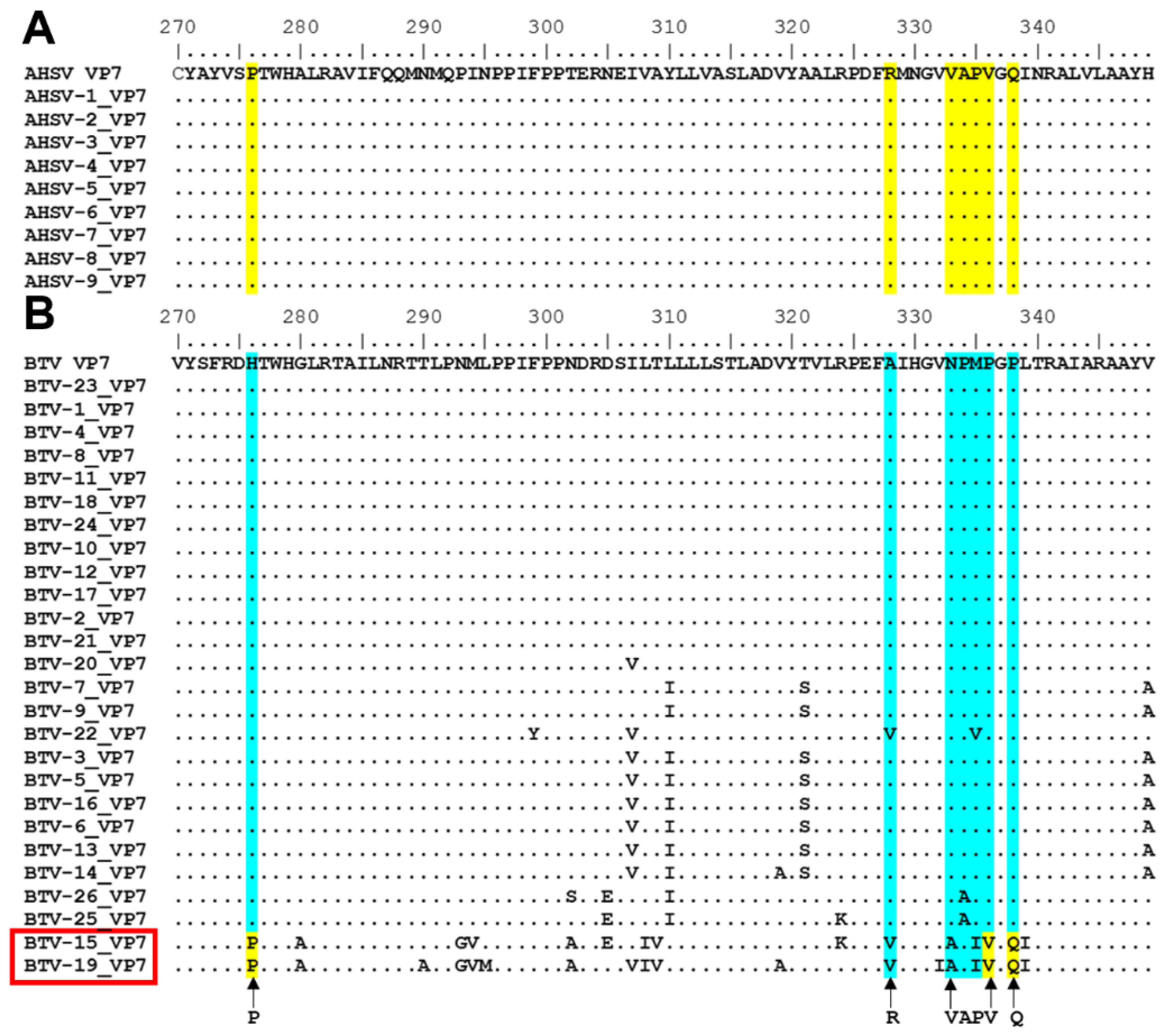 Viruses 14 01624 g007 Viruses 14 01624 g007