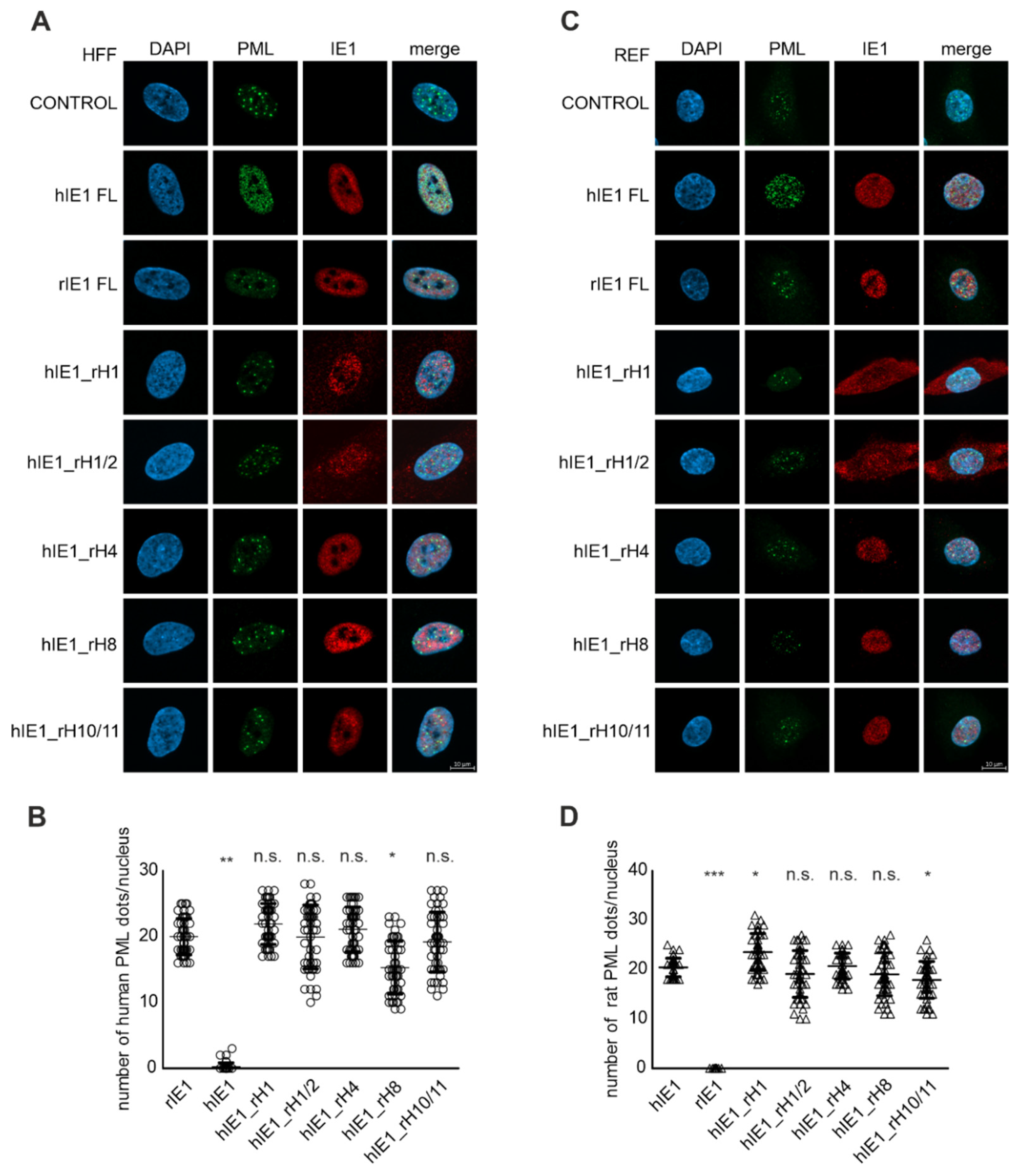 Viruses 14 01626 g004 550