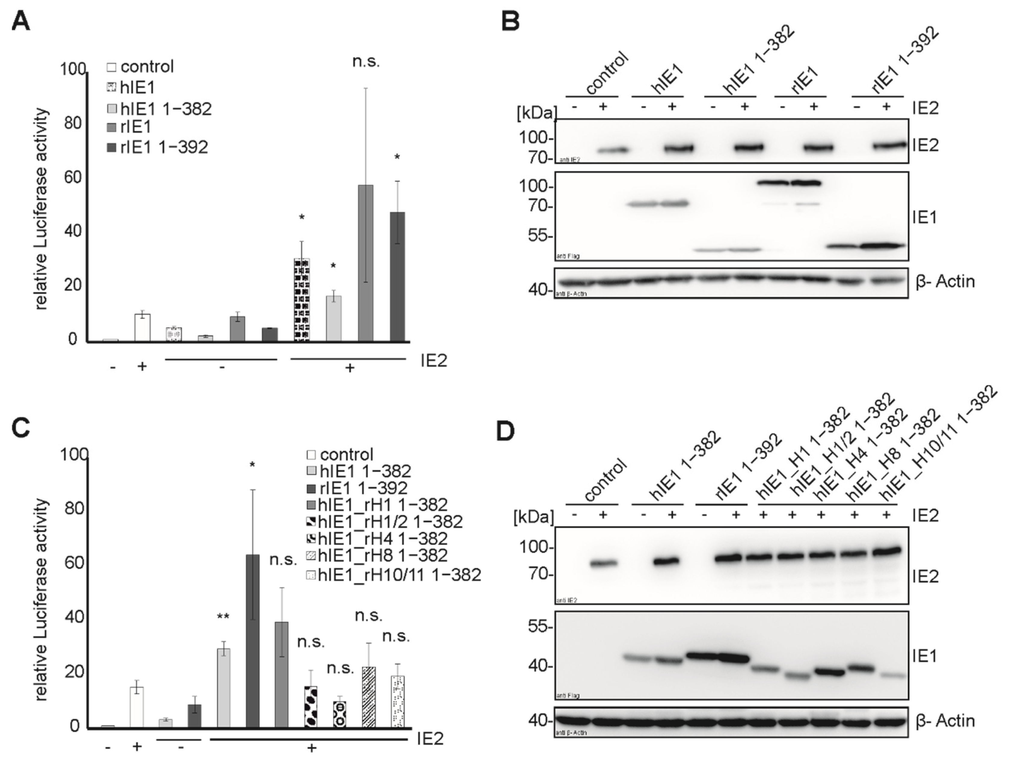 Viruses 14 01626 g006 550