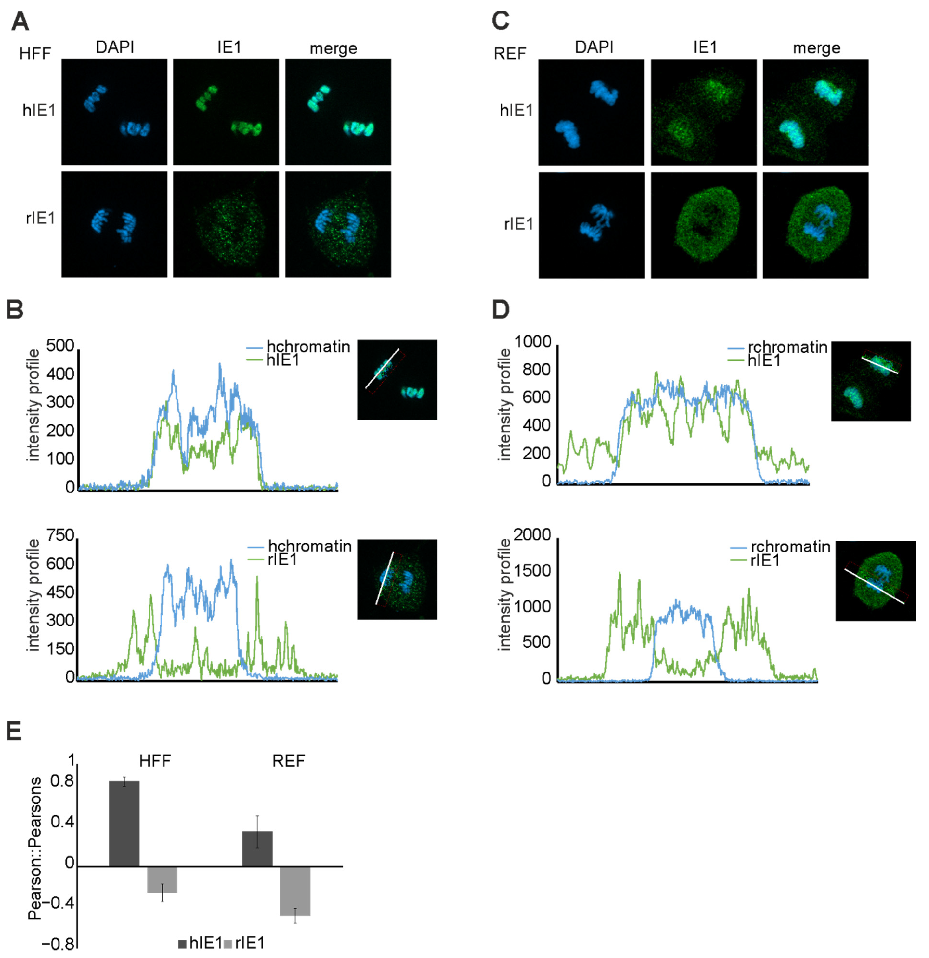 Viruses 14 01626 g008 550