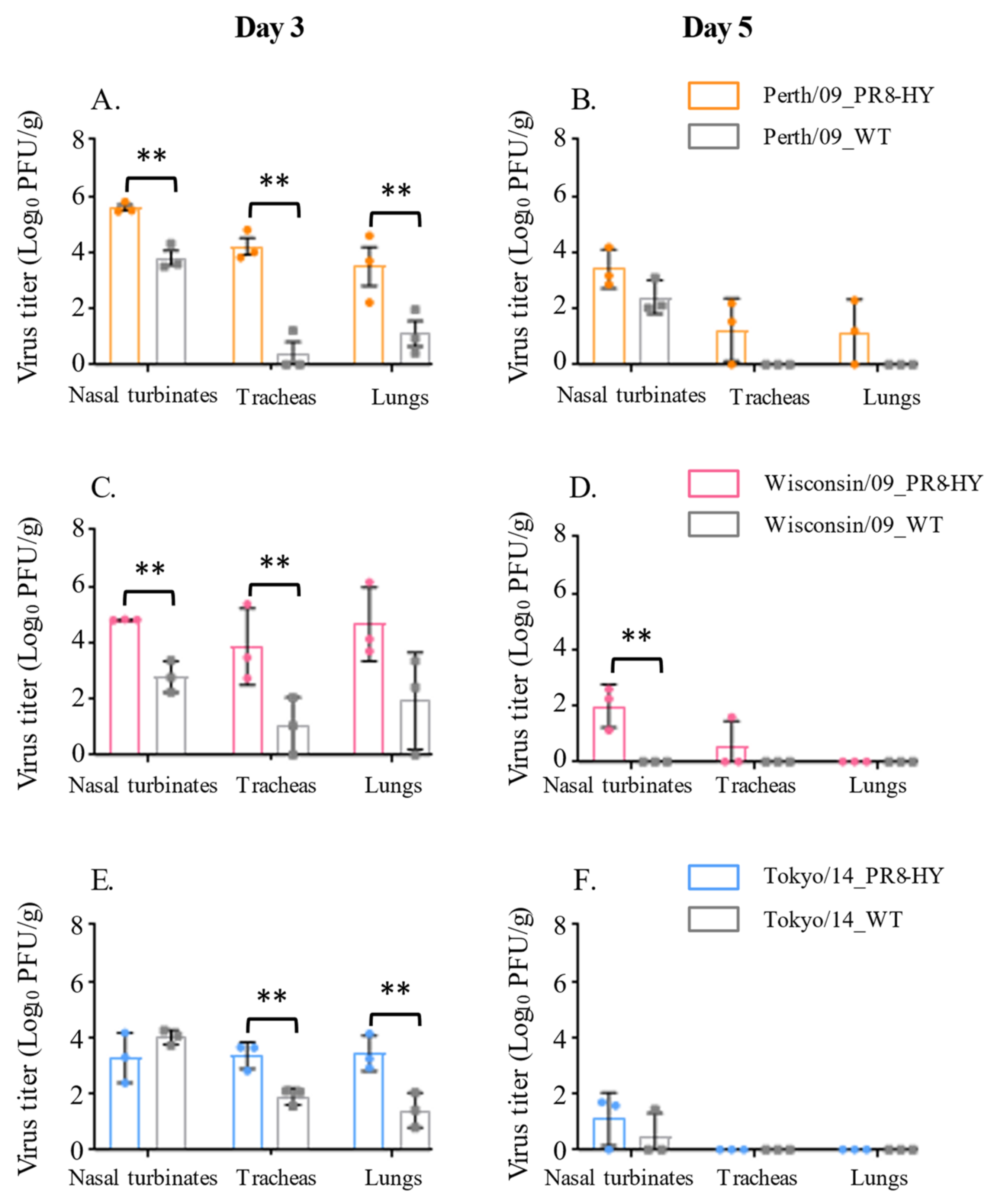 Viruses 14 01629 g001