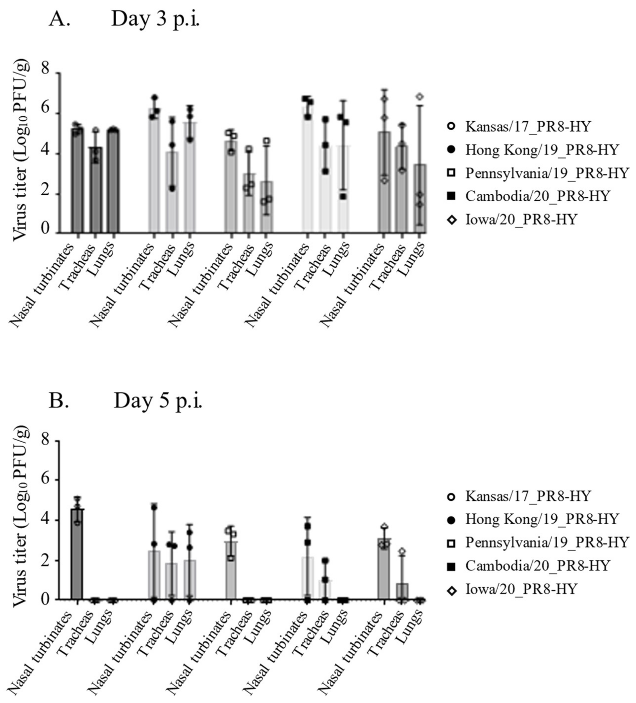 Viruses 14 01629 g002