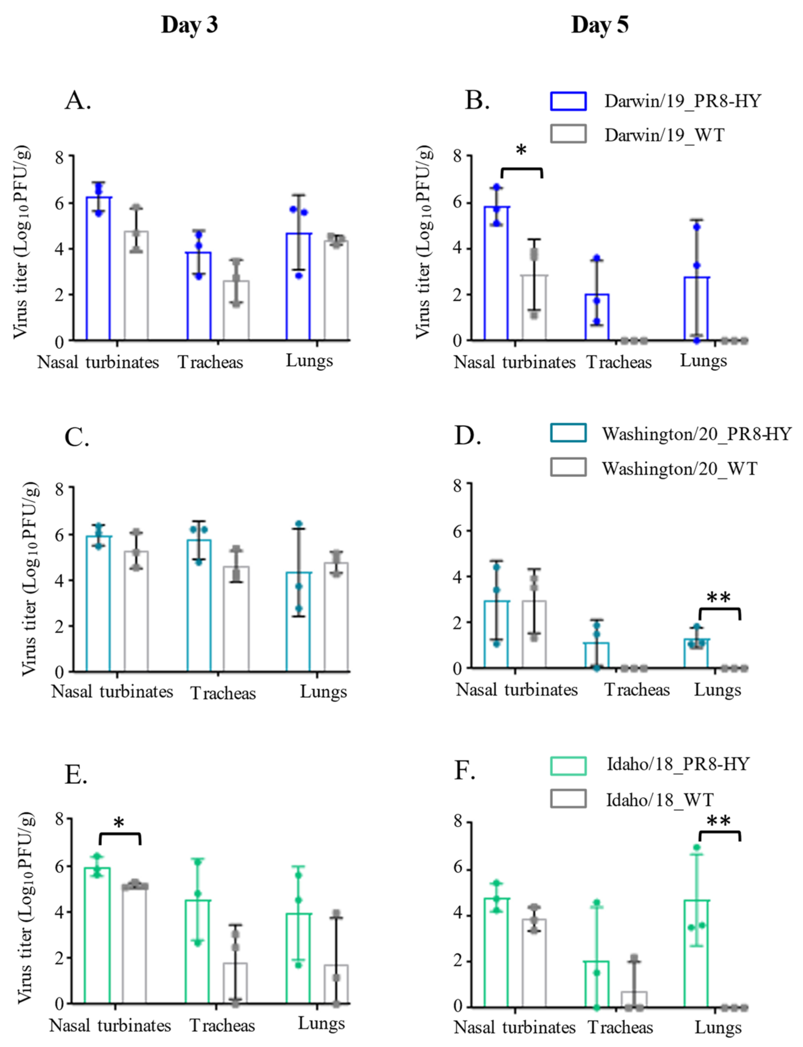 Viruses 14 01629 g003