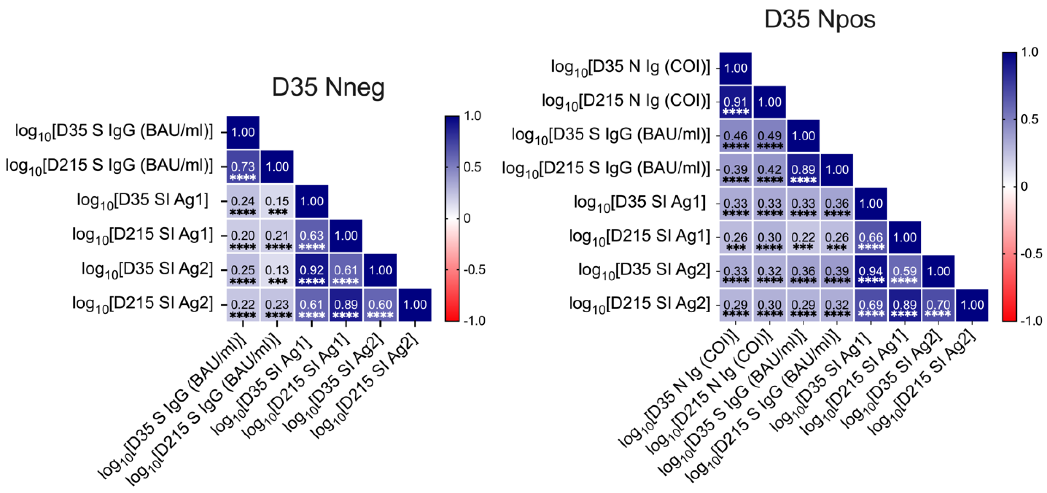 Viruses 14 01642 g004 550