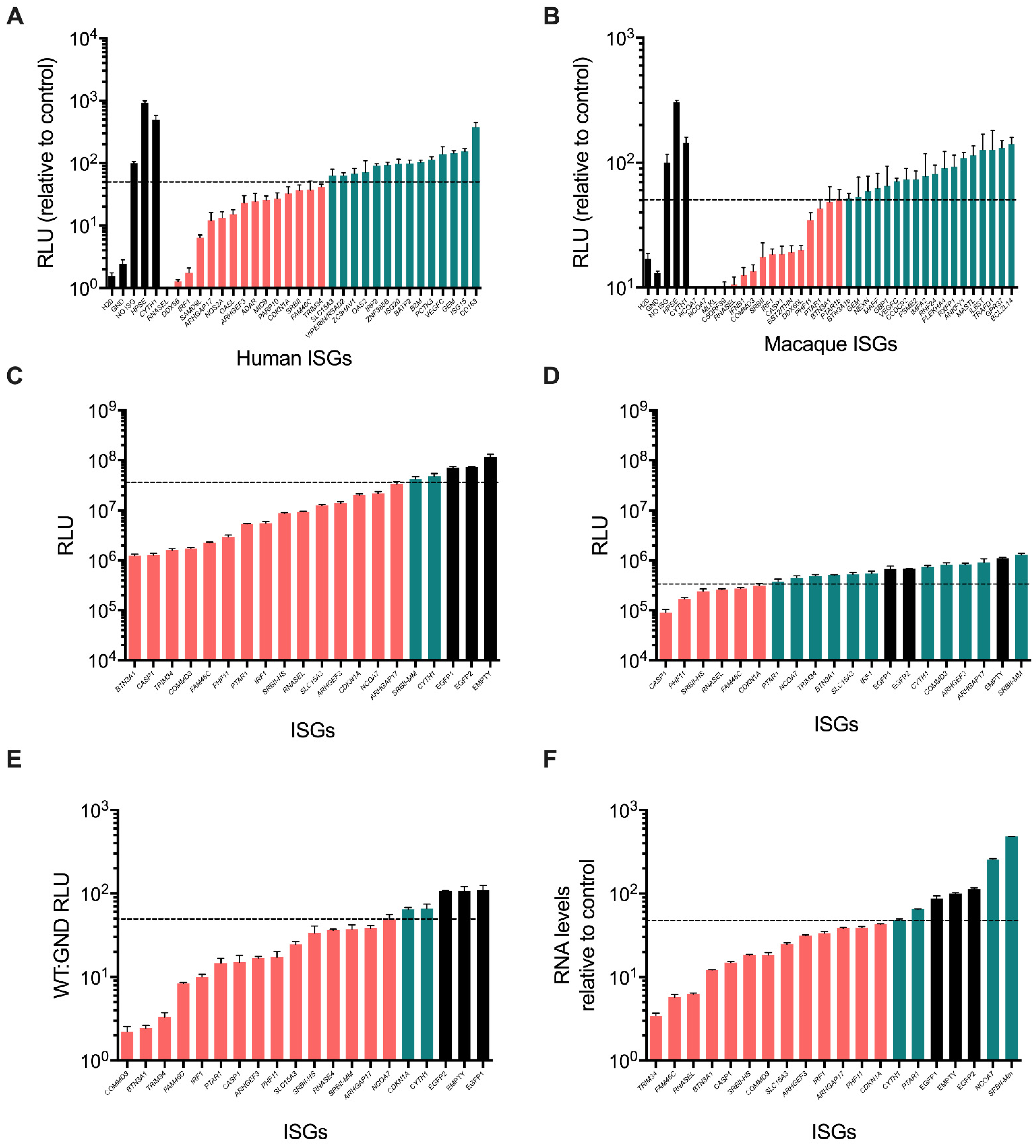 Viruses 14 01655 g002 Viruses 14 01655 g002