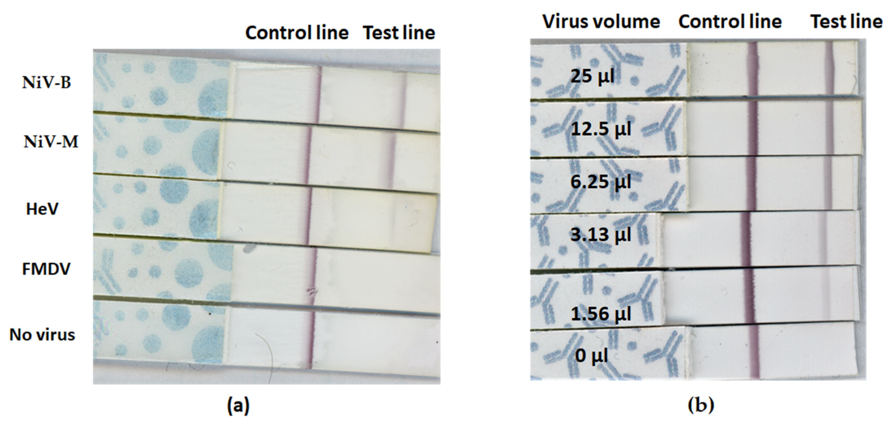 Viruses 14 01657 g006 Viruses 14 01657 g006