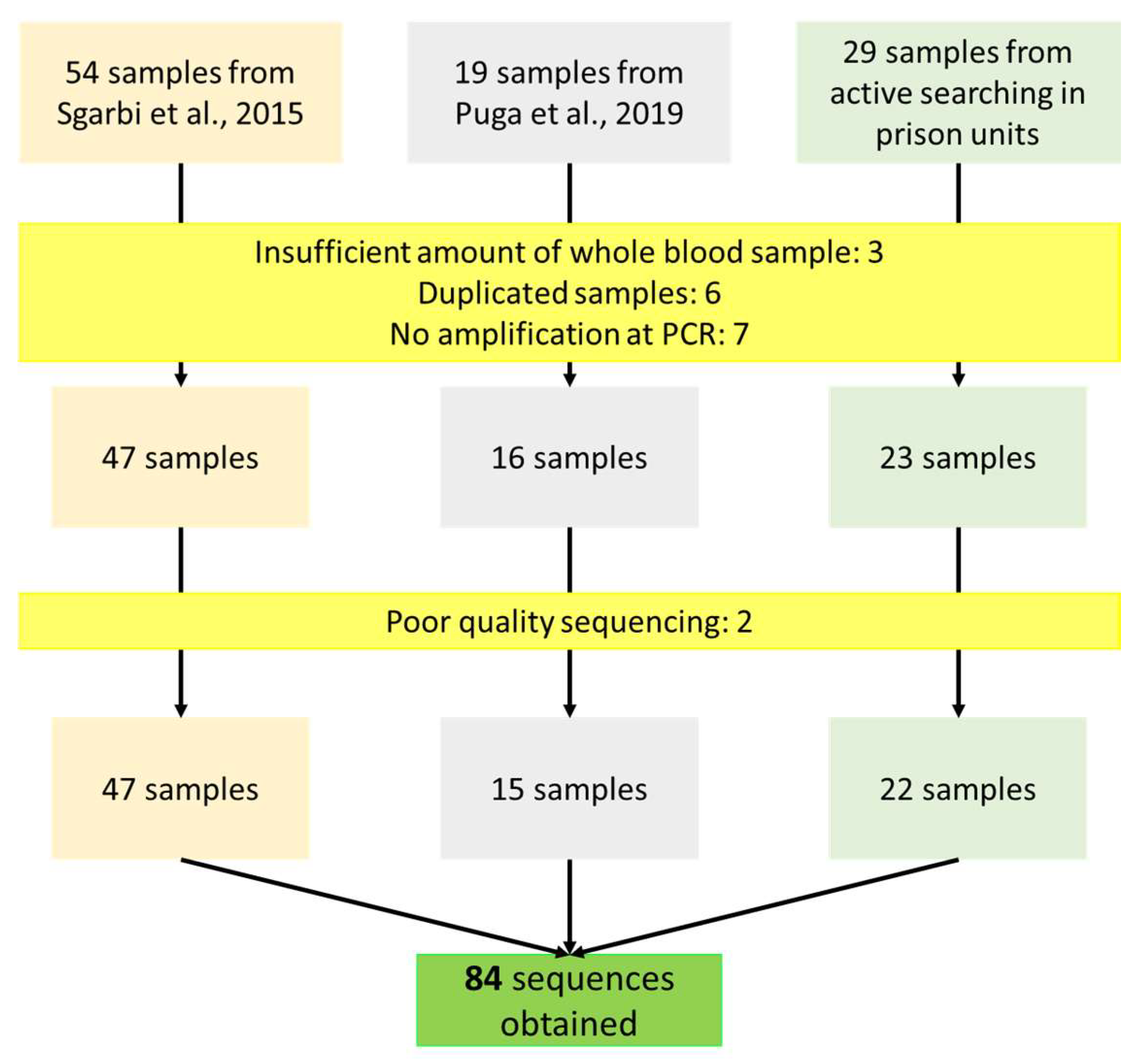Viruses 14 01660 g001