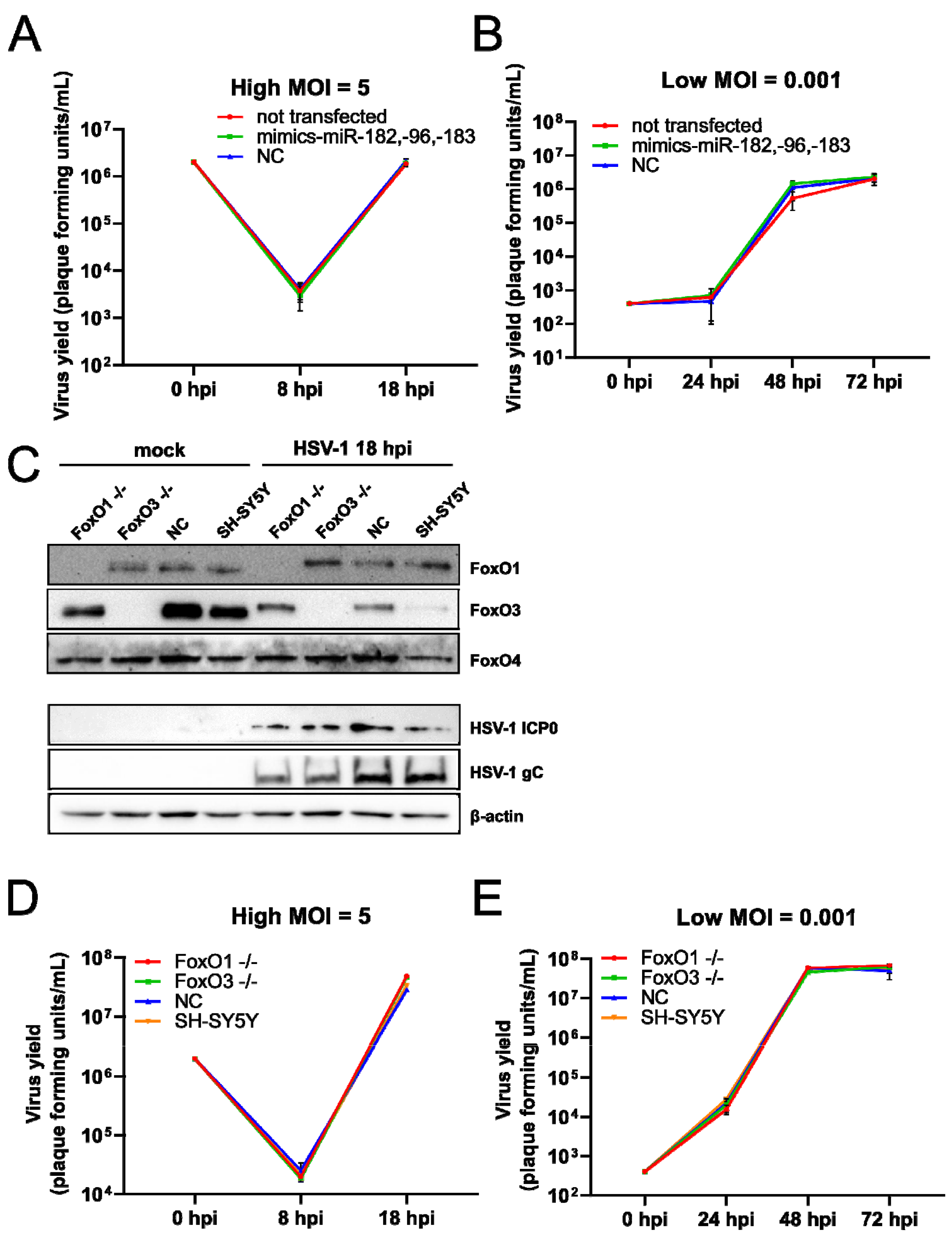 Viruses 14 01661 g005 Viruses 14 01661 g005
