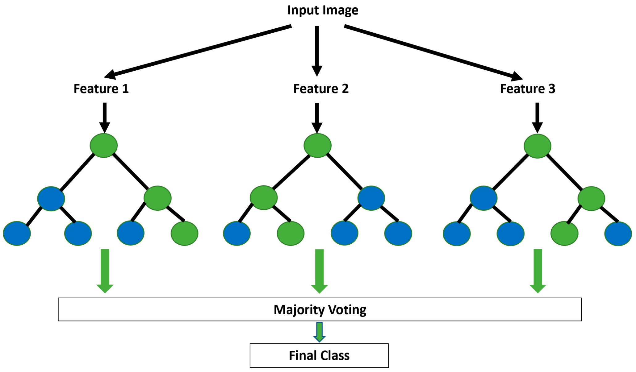 Viruses 14 01667 g005