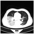 Viruses 14 01667 i001