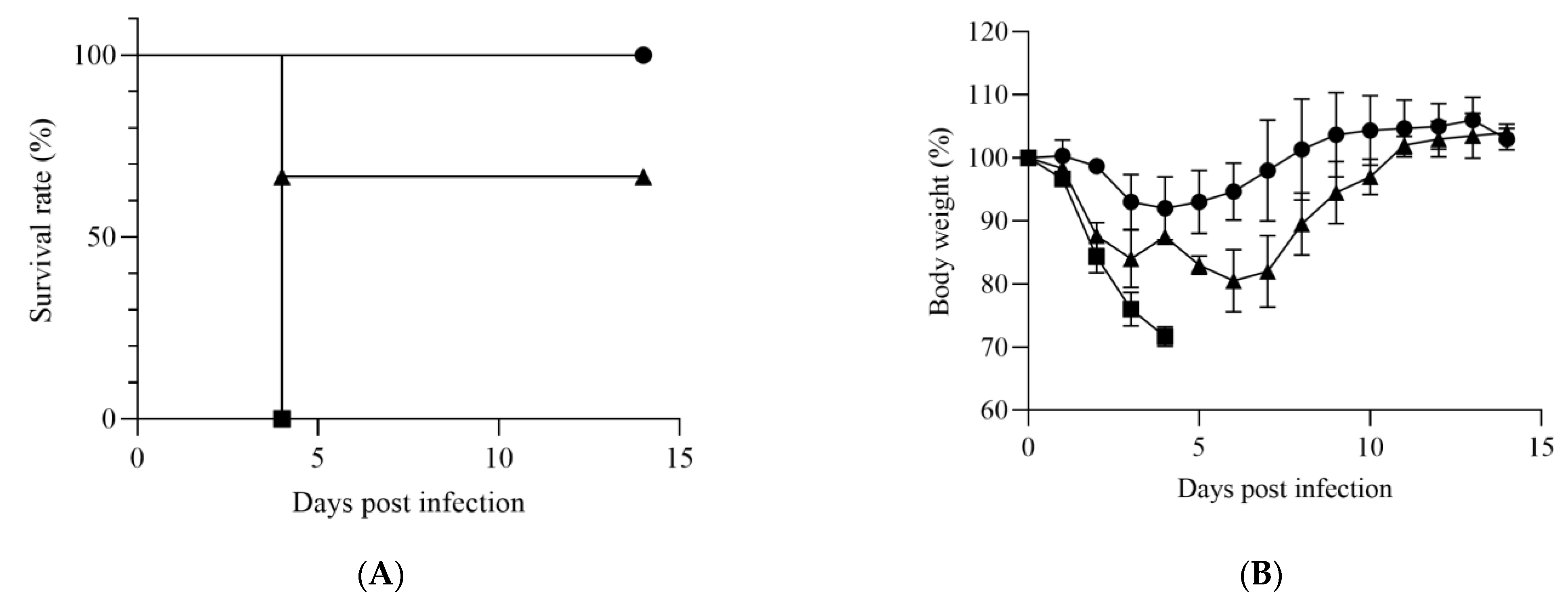Viruses 14 01668 g001a 550