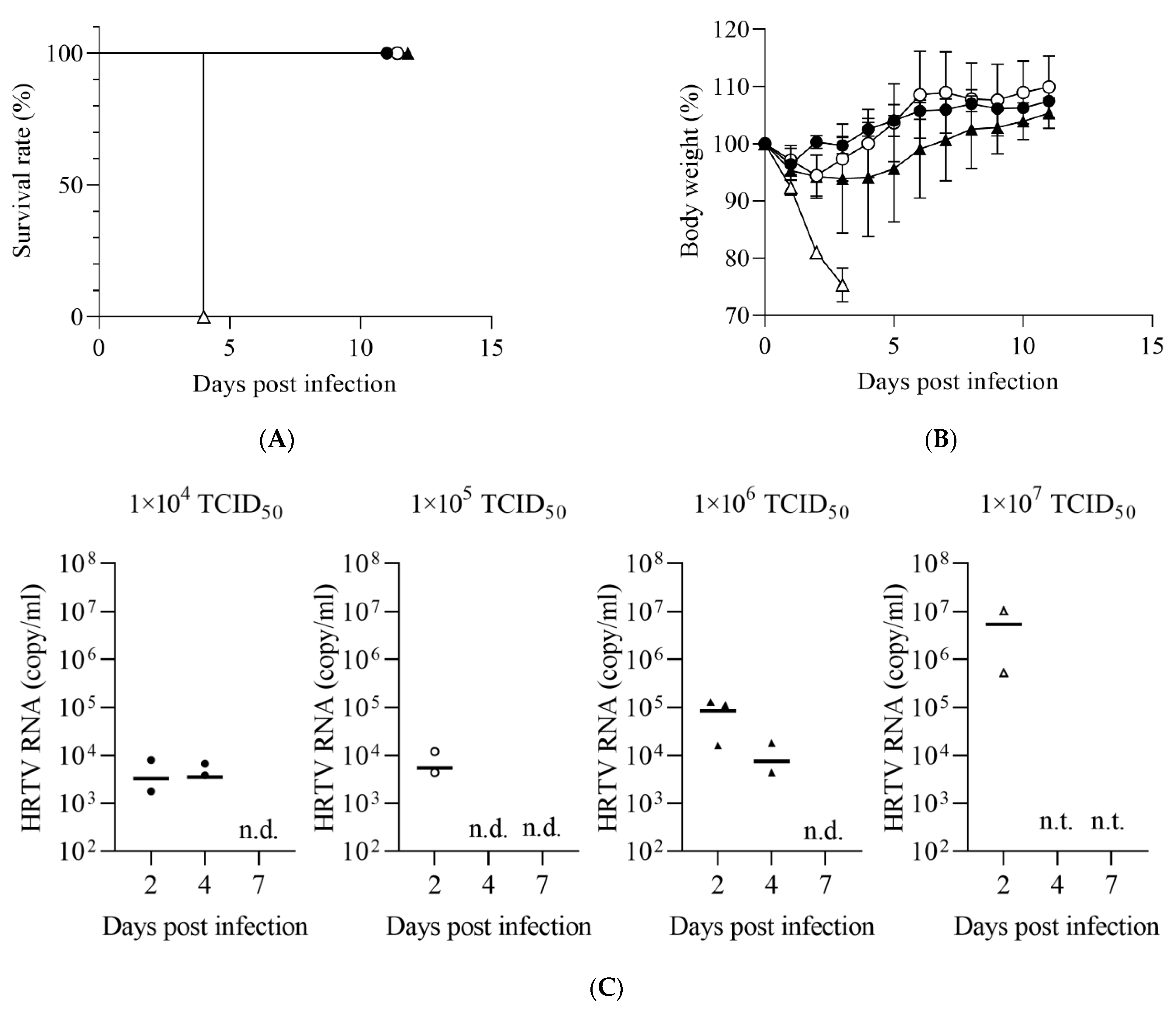 Viruses 14 01668 g002 550