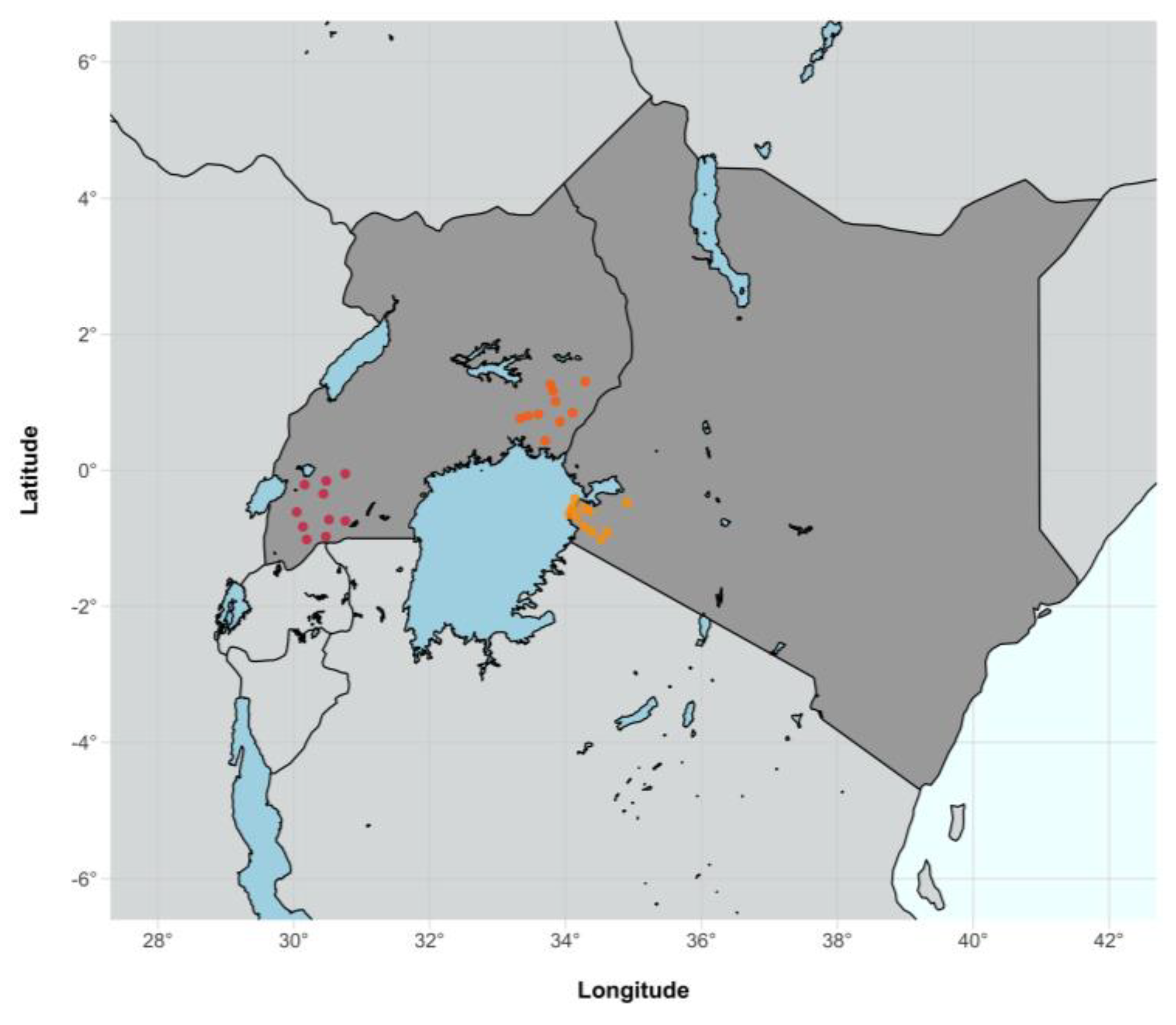 Viruses 14 01673 g001
