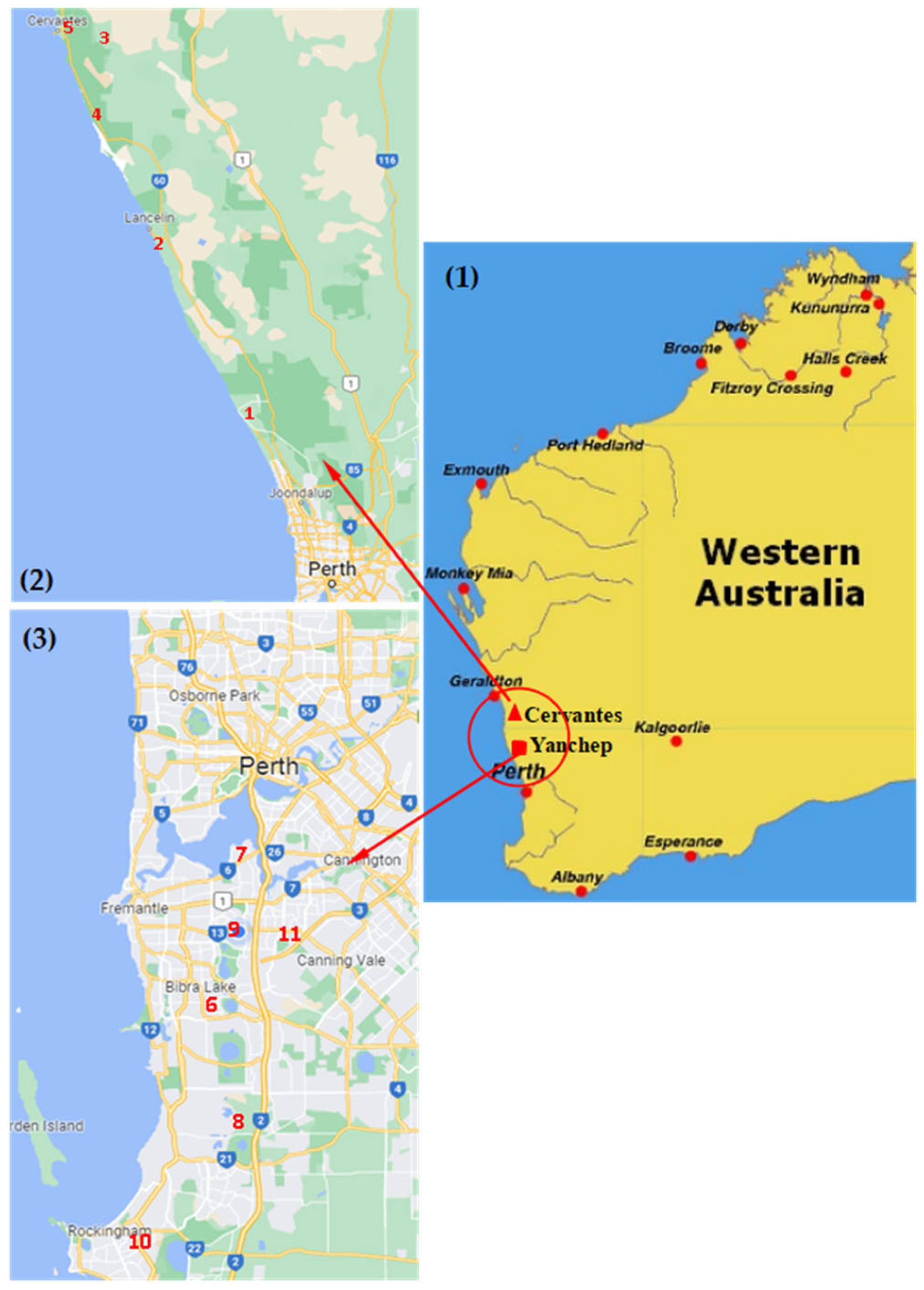 Viruses 14 01676 g001 Viruses 14 01676 g001