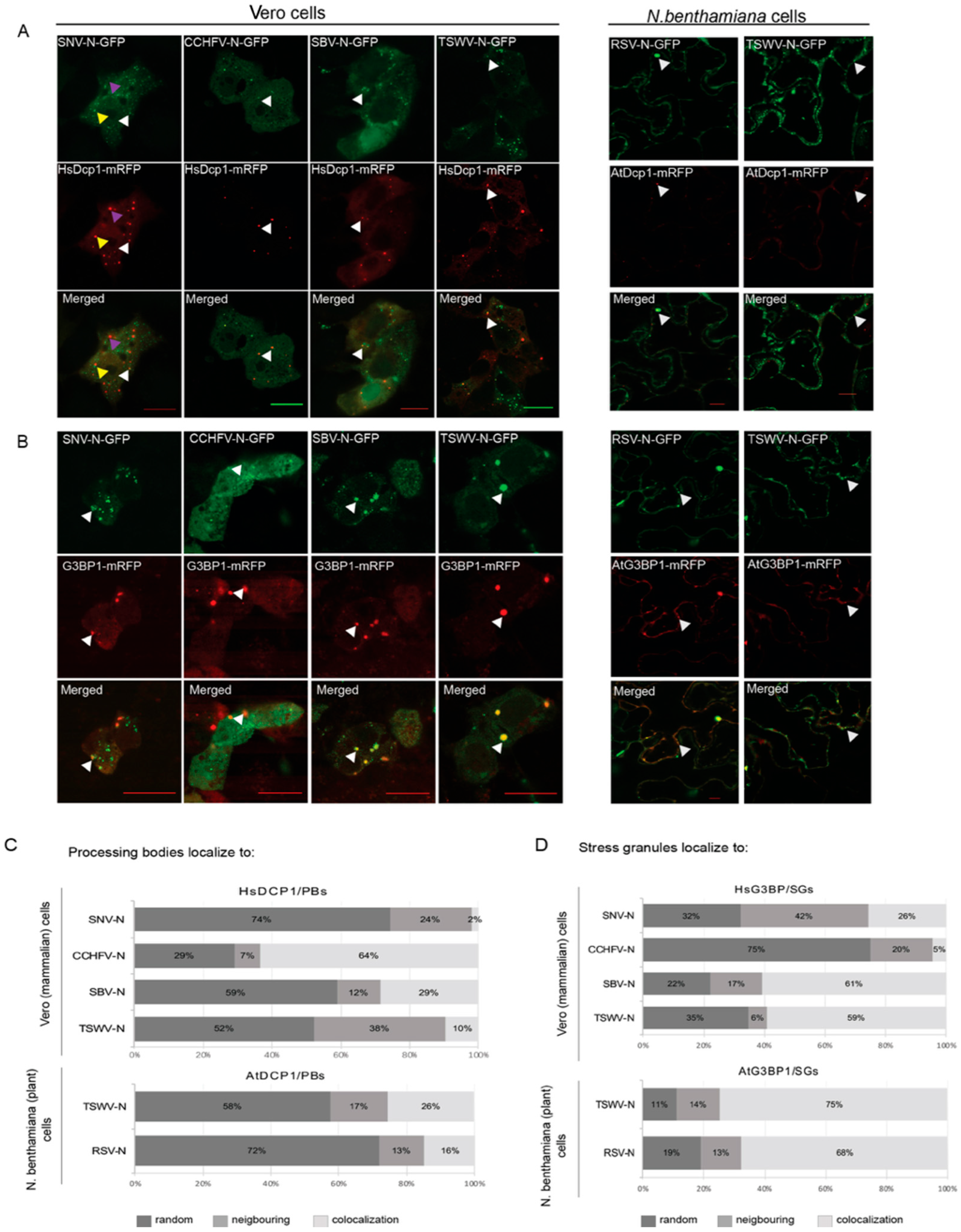 Viruses 14 01679 g001 550