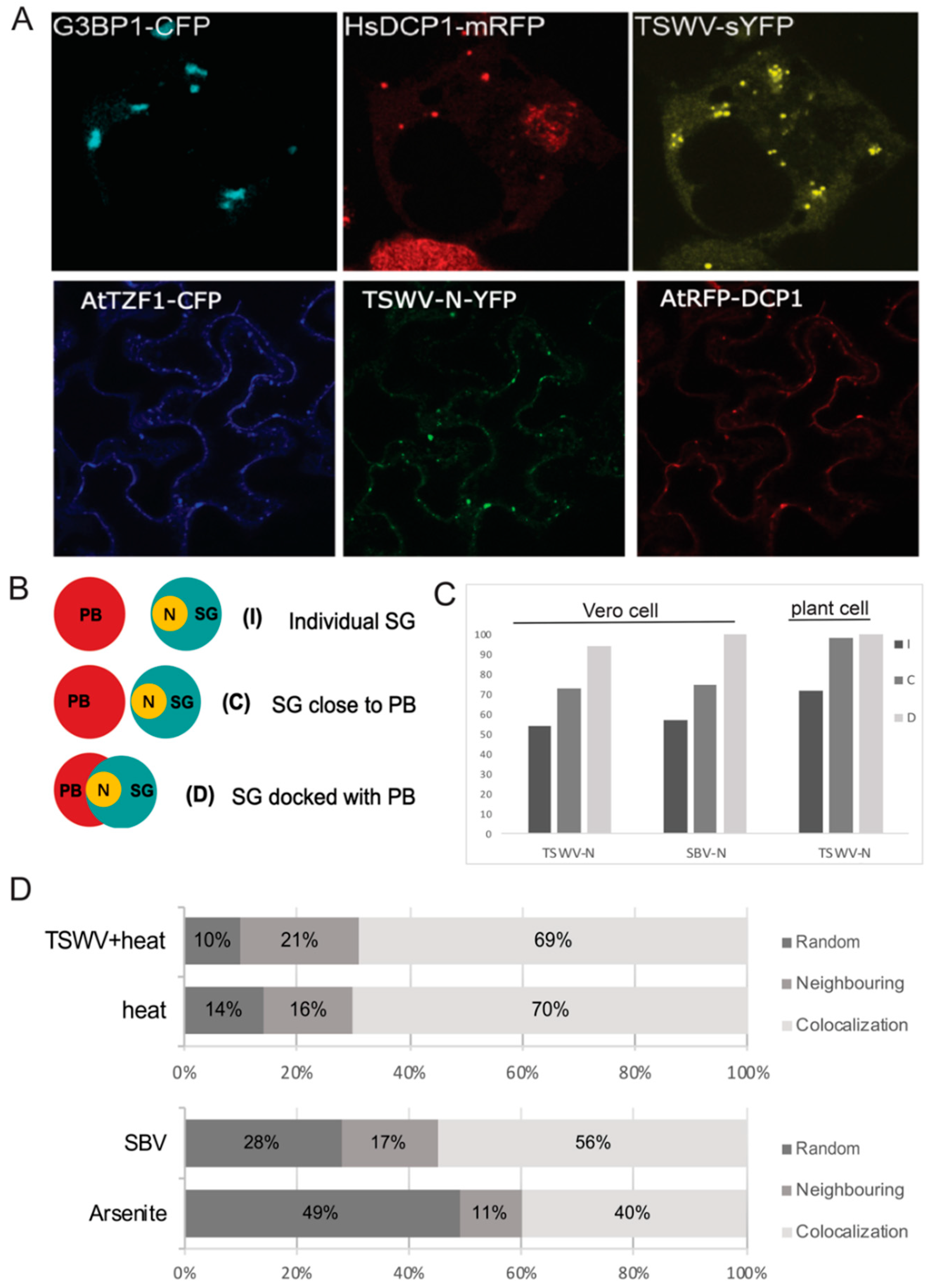 Viruses 14 01679 g003 550