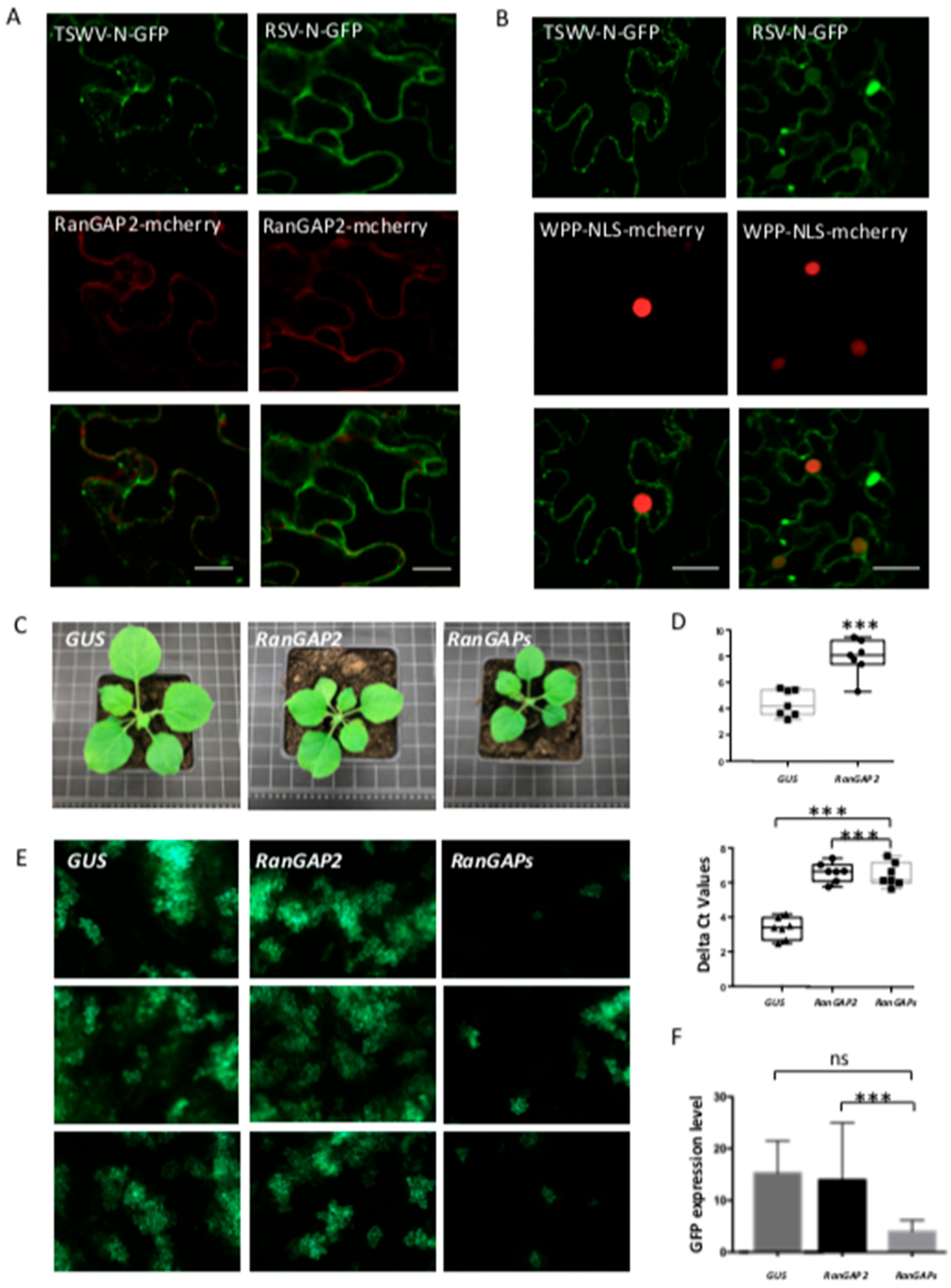 Viruses 14 01679 g008 550